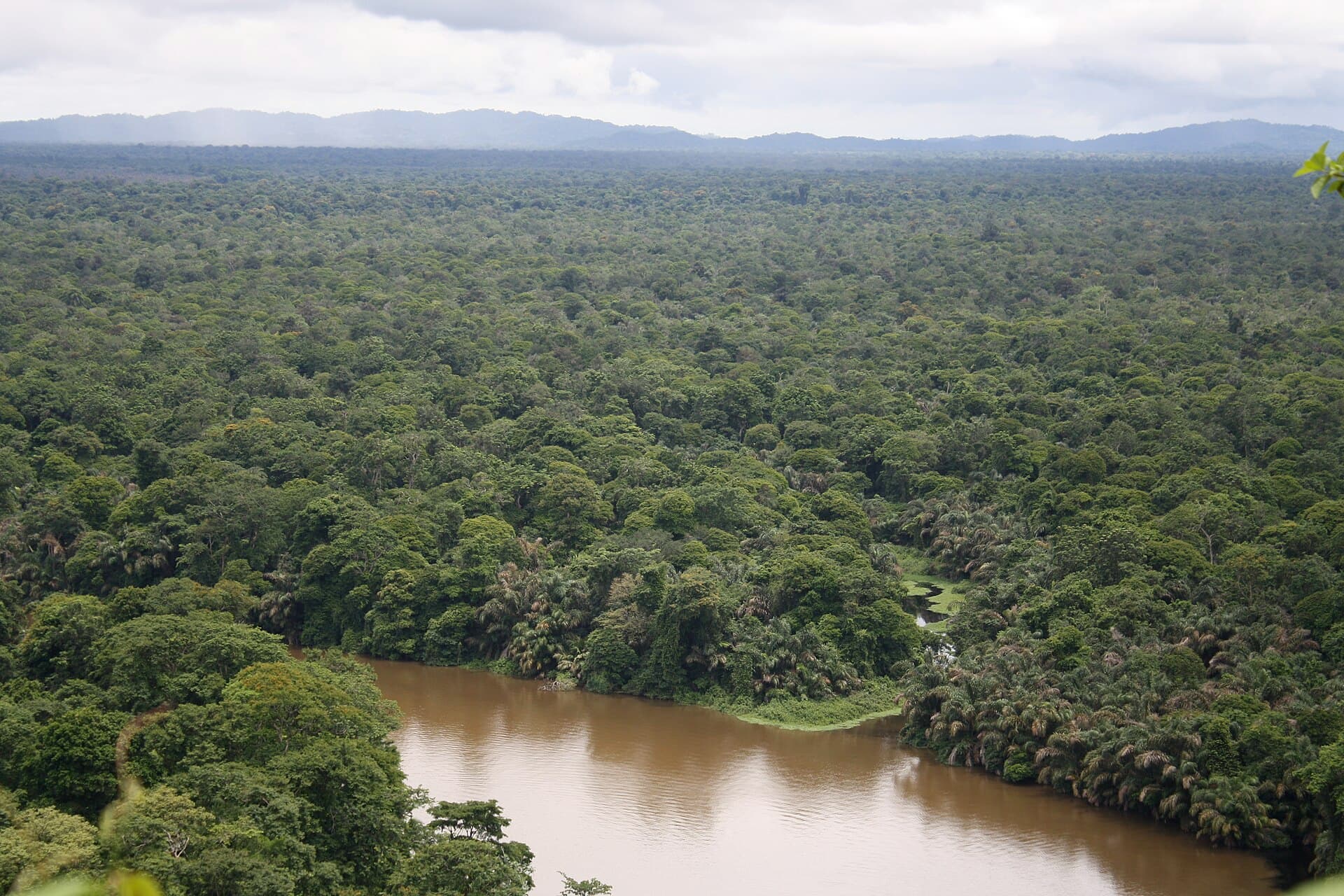 Tortuguero National Park canals