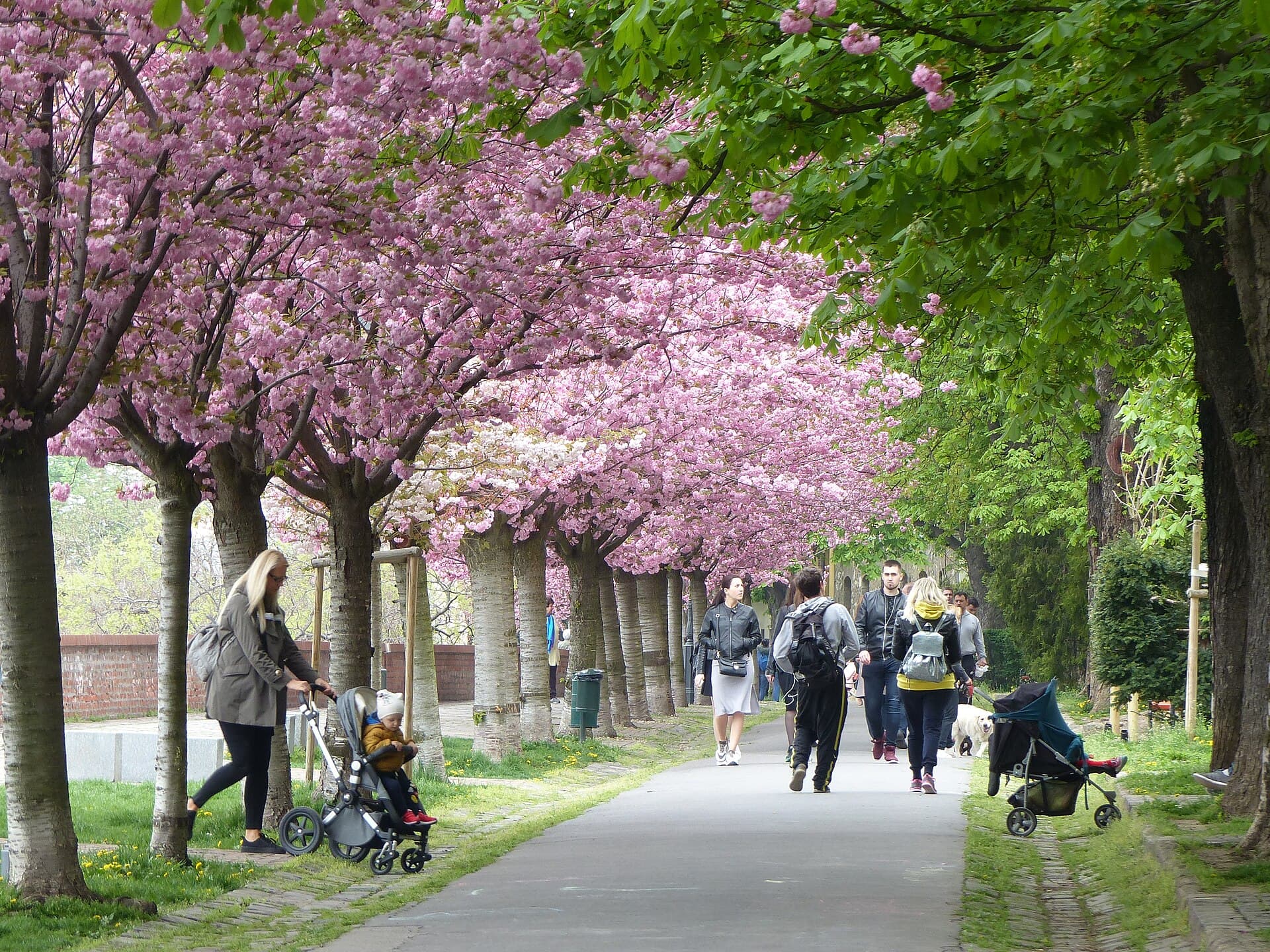 Tóth Árpád Promenade, Budapest