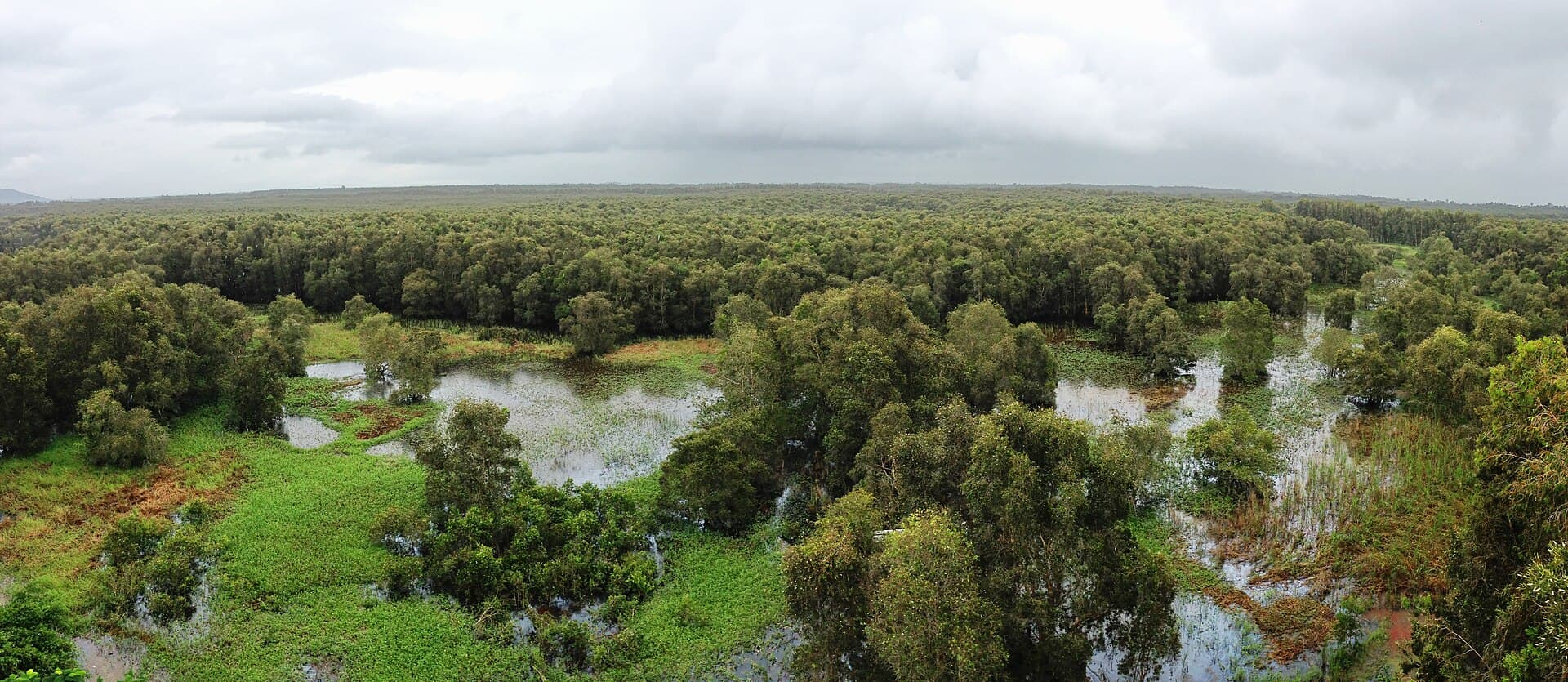 Tra Su Cajuput Forest, Chau Doc