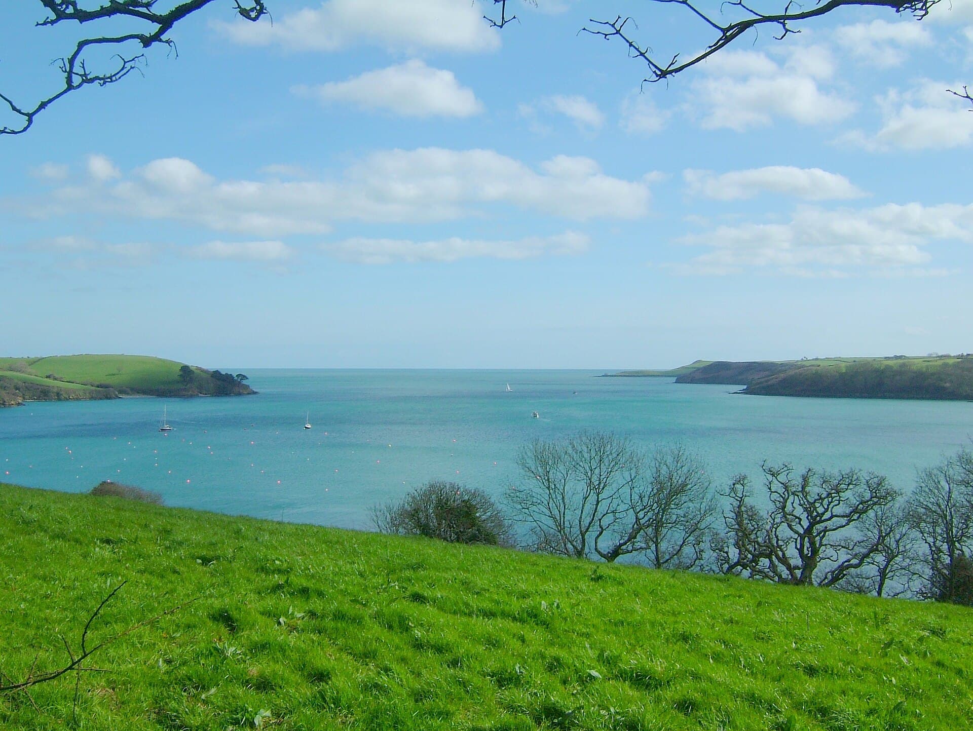 Trebah Garden, Cornwall