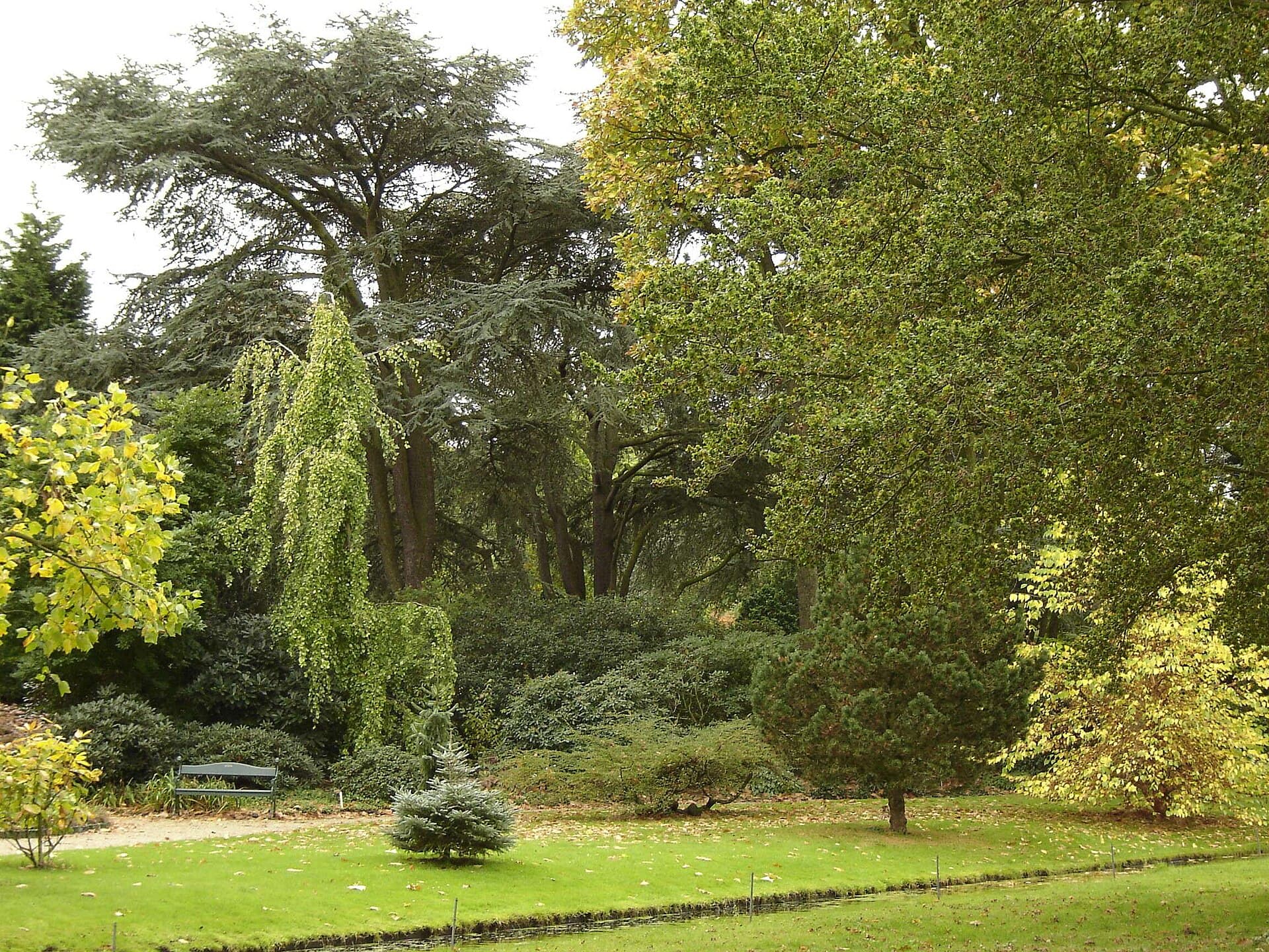 Trompenburg Gardens and Arboretum, Rotterdam
