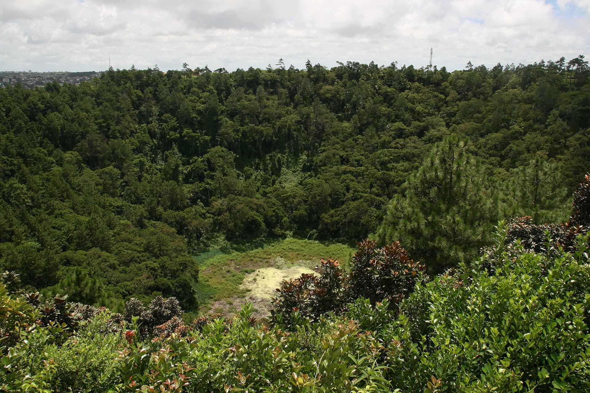 Trou aux Cerfs Crater, Curepipe
