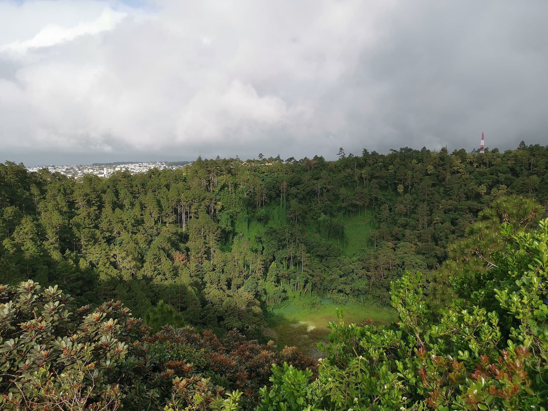 Trou aux Cerfs Crater, Curepipe