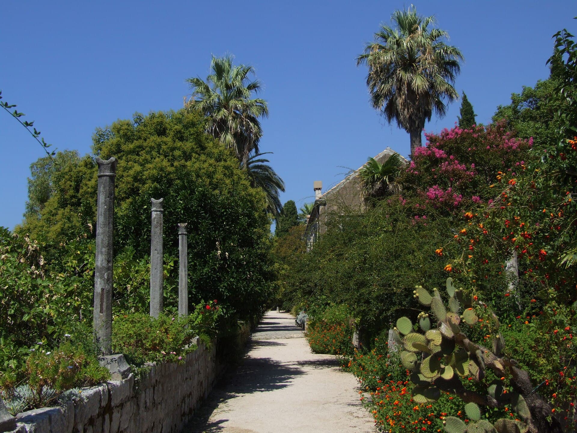 Trsteno Arboretum, Dubrovnik