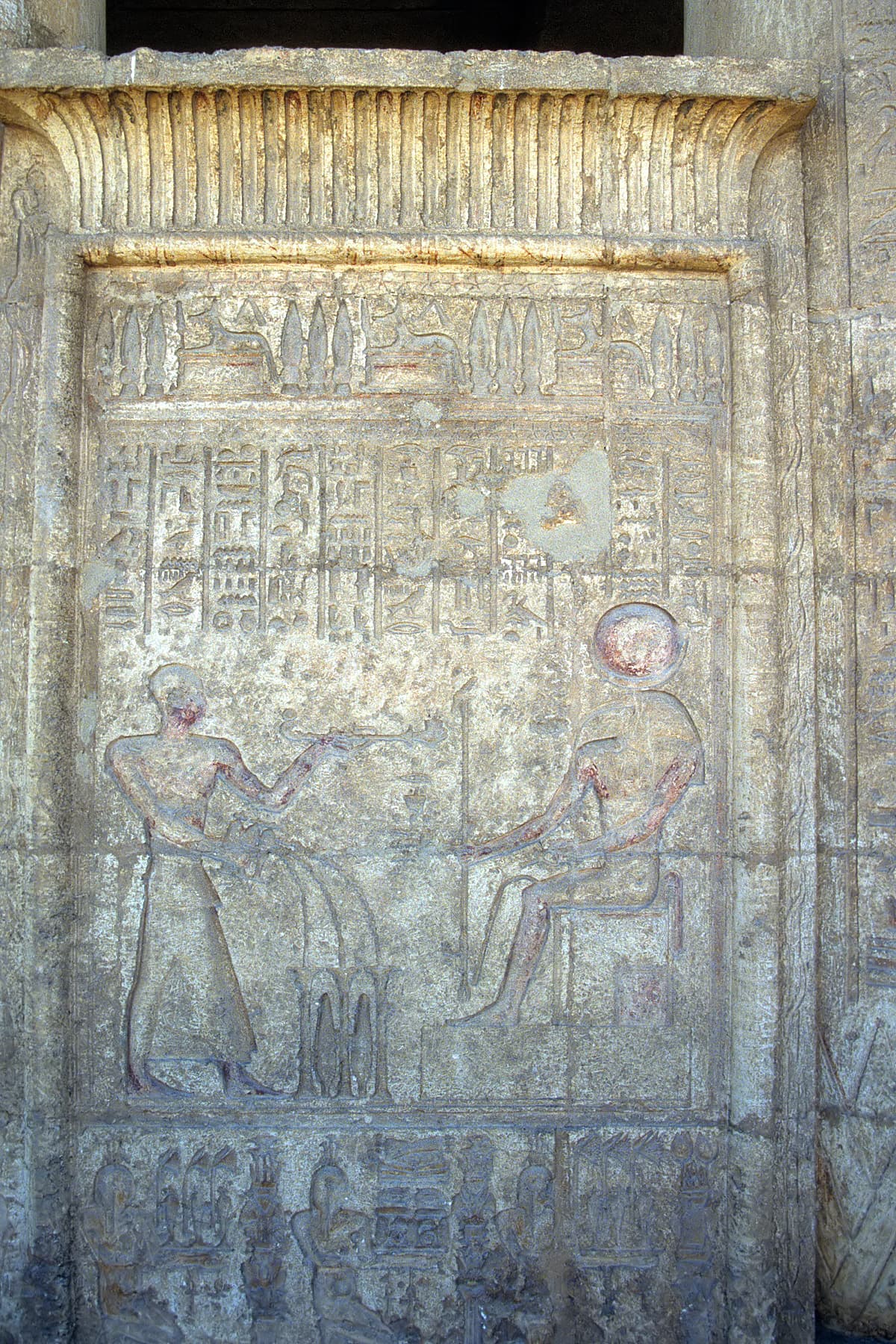 تونة الجبل