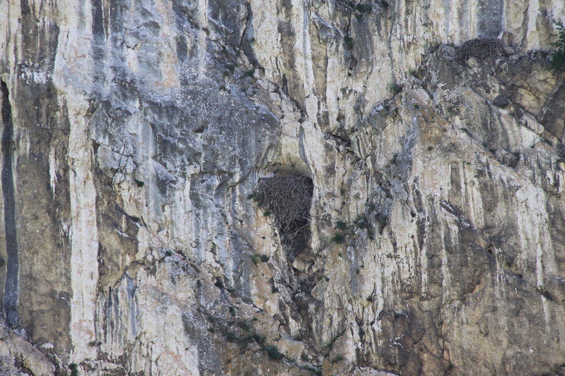 Turda Gorge, Cluj-Napoca