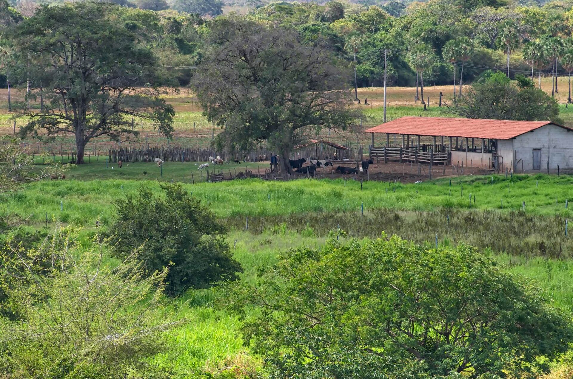 Tutóia, Gateway to the Delta, Tutóia