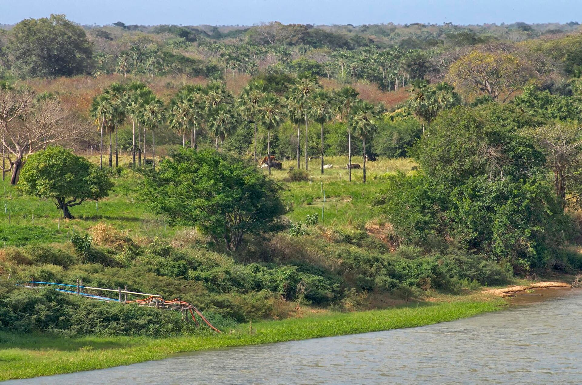 Tutóia, Gateway to the Delta, Tutóia