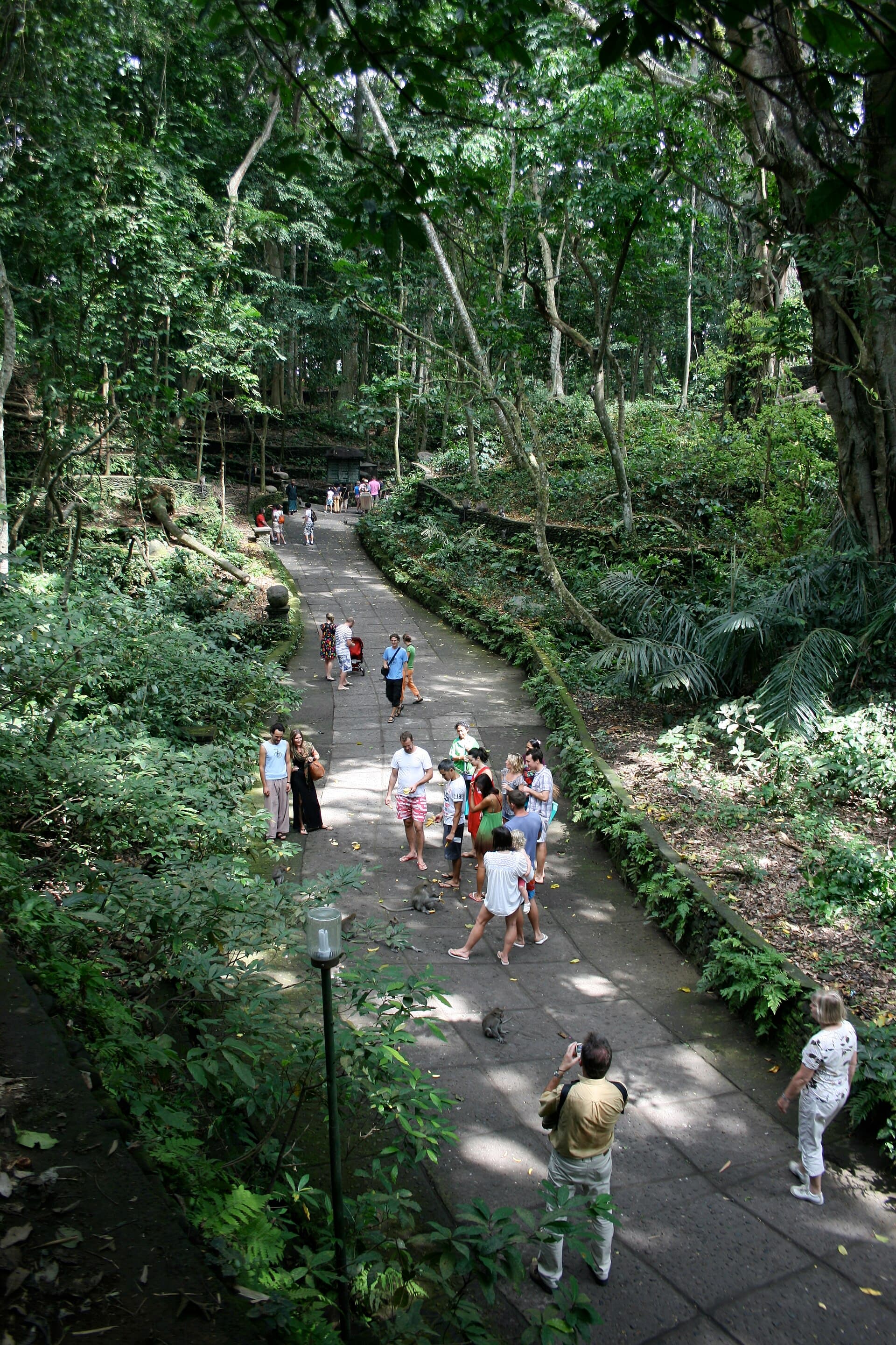 Sacred Monkey Forest Sanctuary, Ubud, Bali