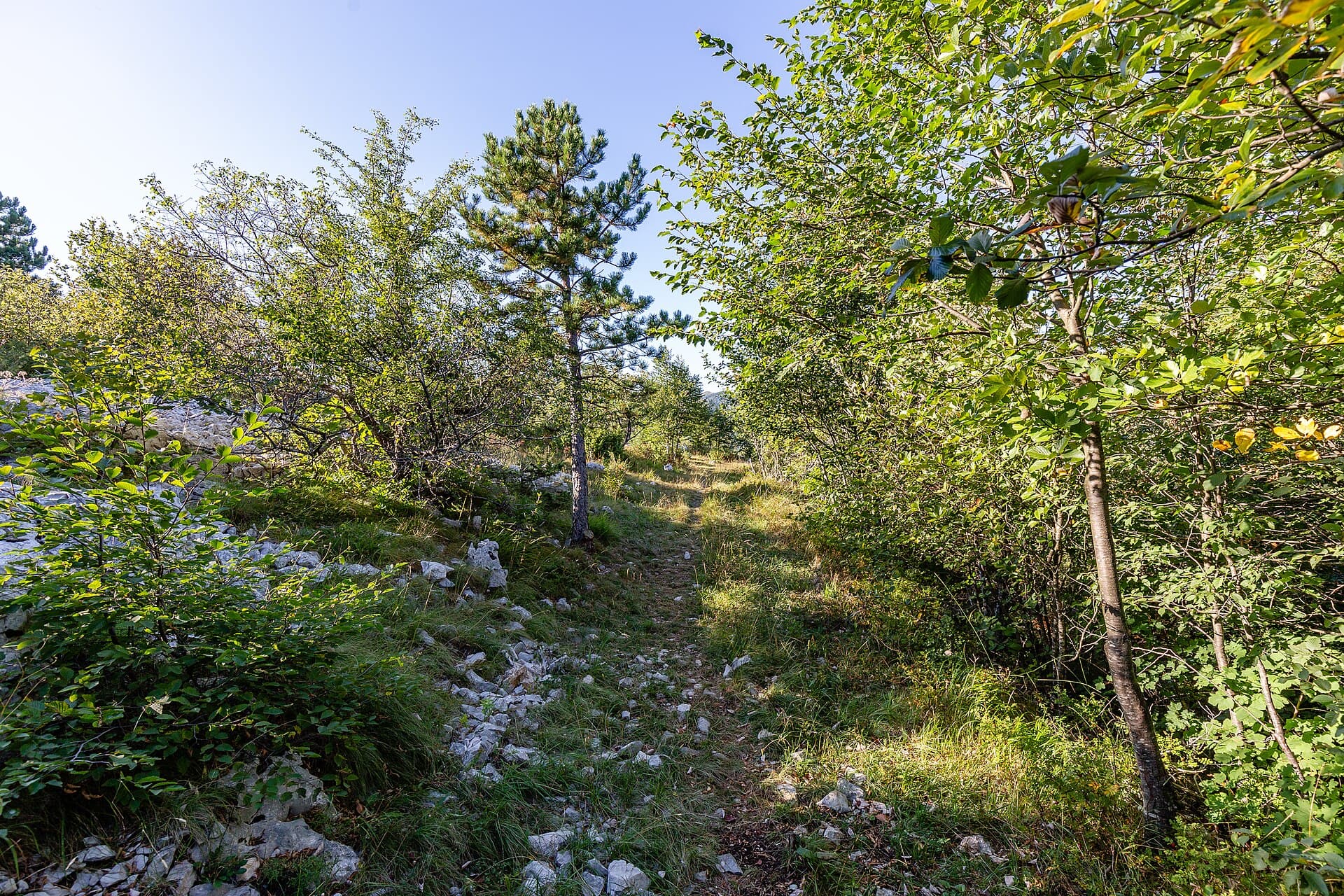 Učka Nature Park, Rijeka