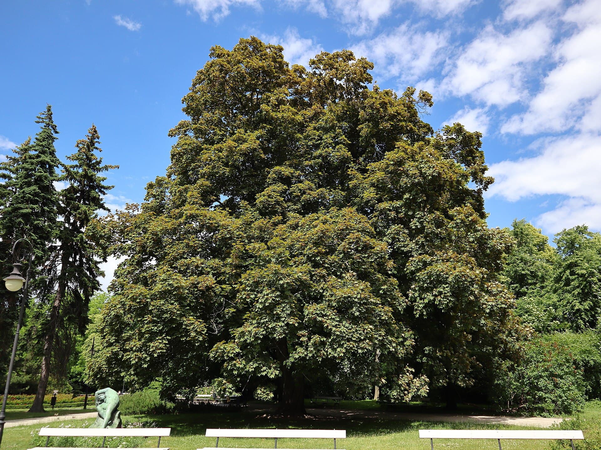 Ujazdów Park, Warsaw