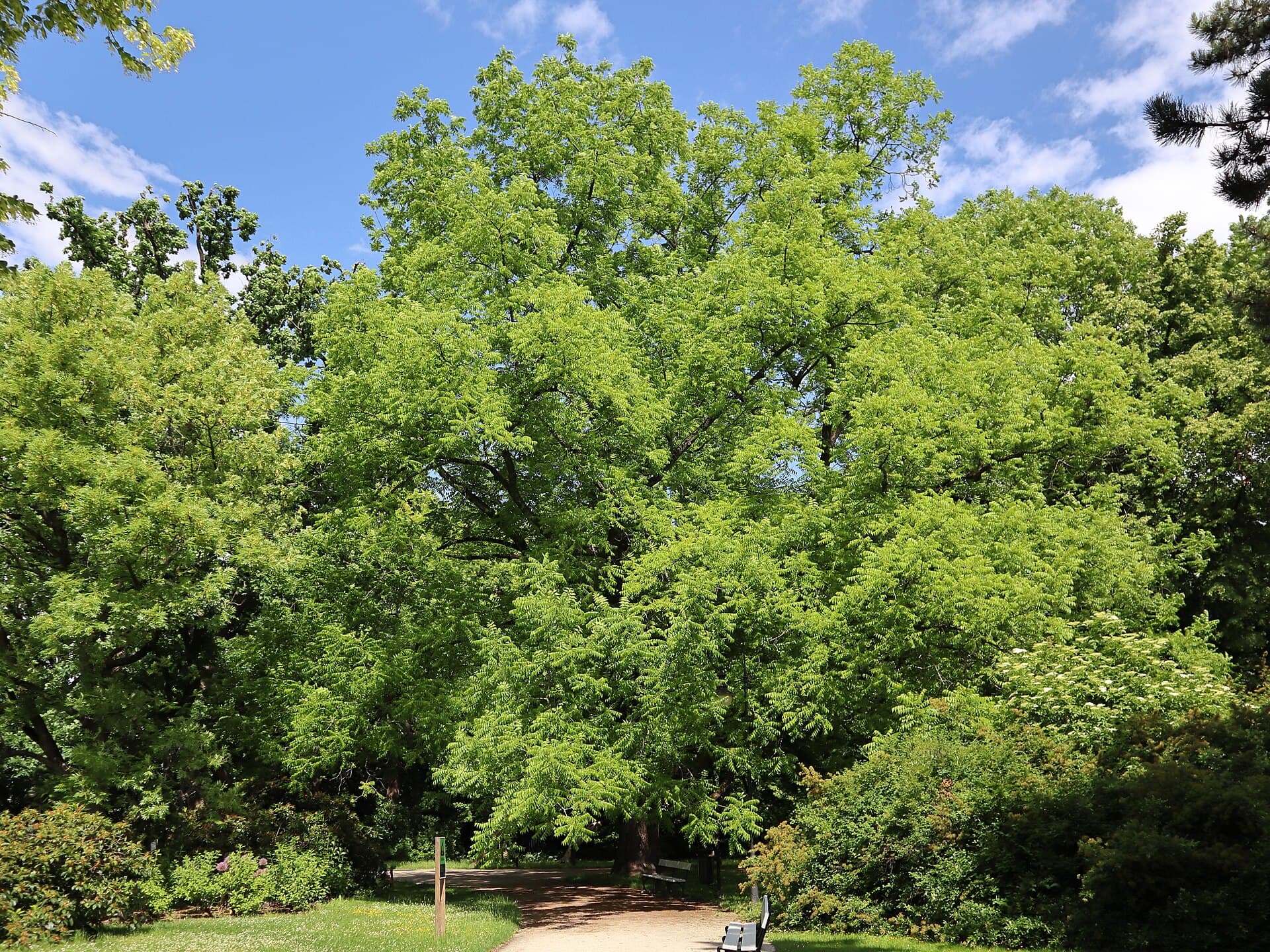 Ujazdów Park, Warsaw
