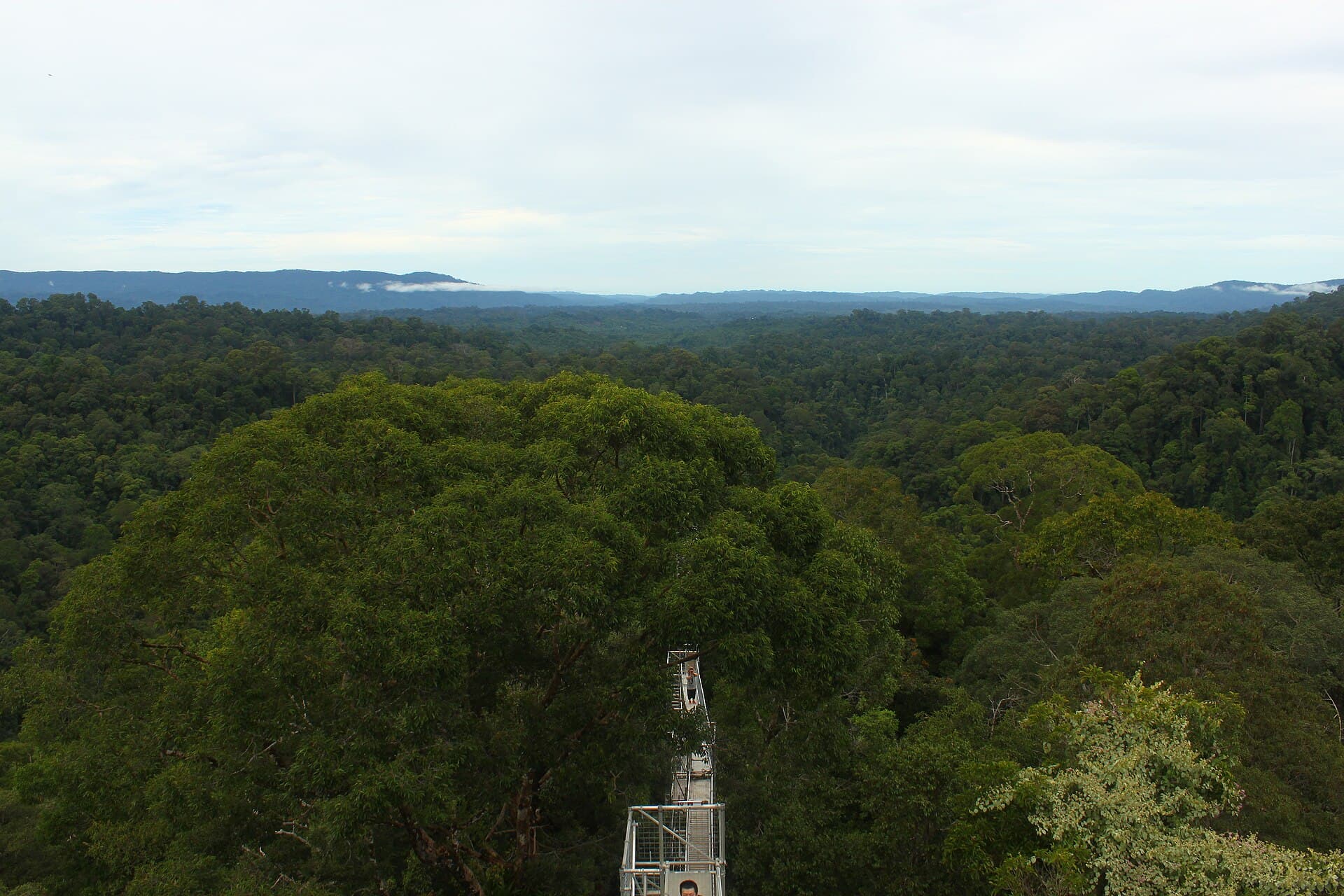Ulu Temburong National Park