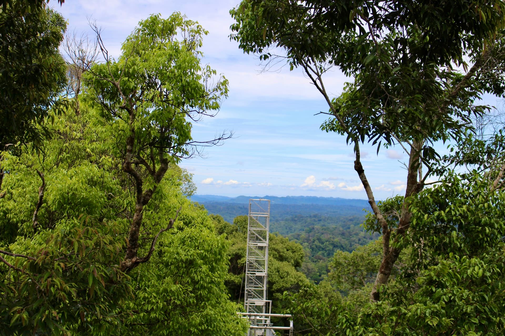 Ulu Temburong National Park