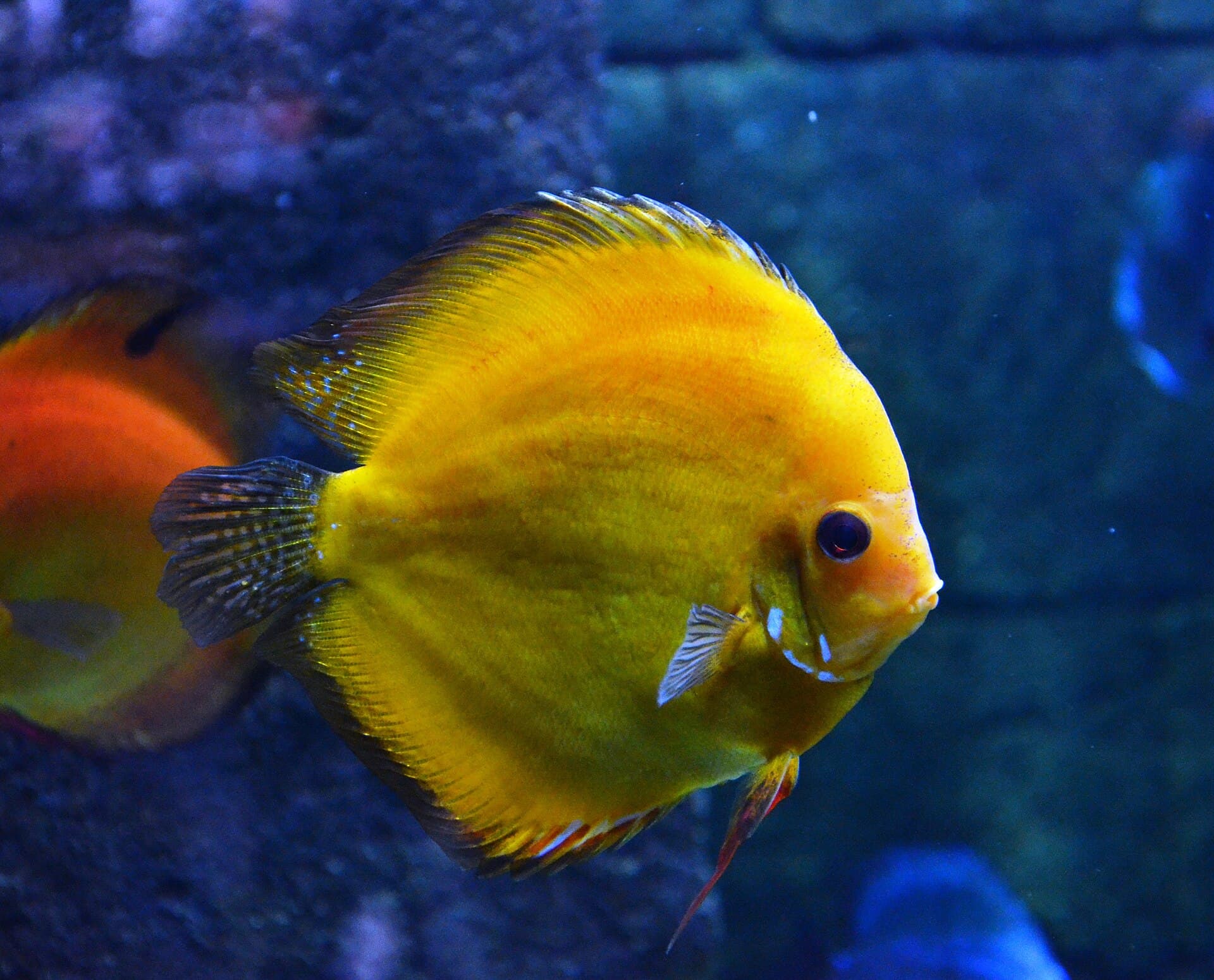 Underwater World Langkawi, Langkawi