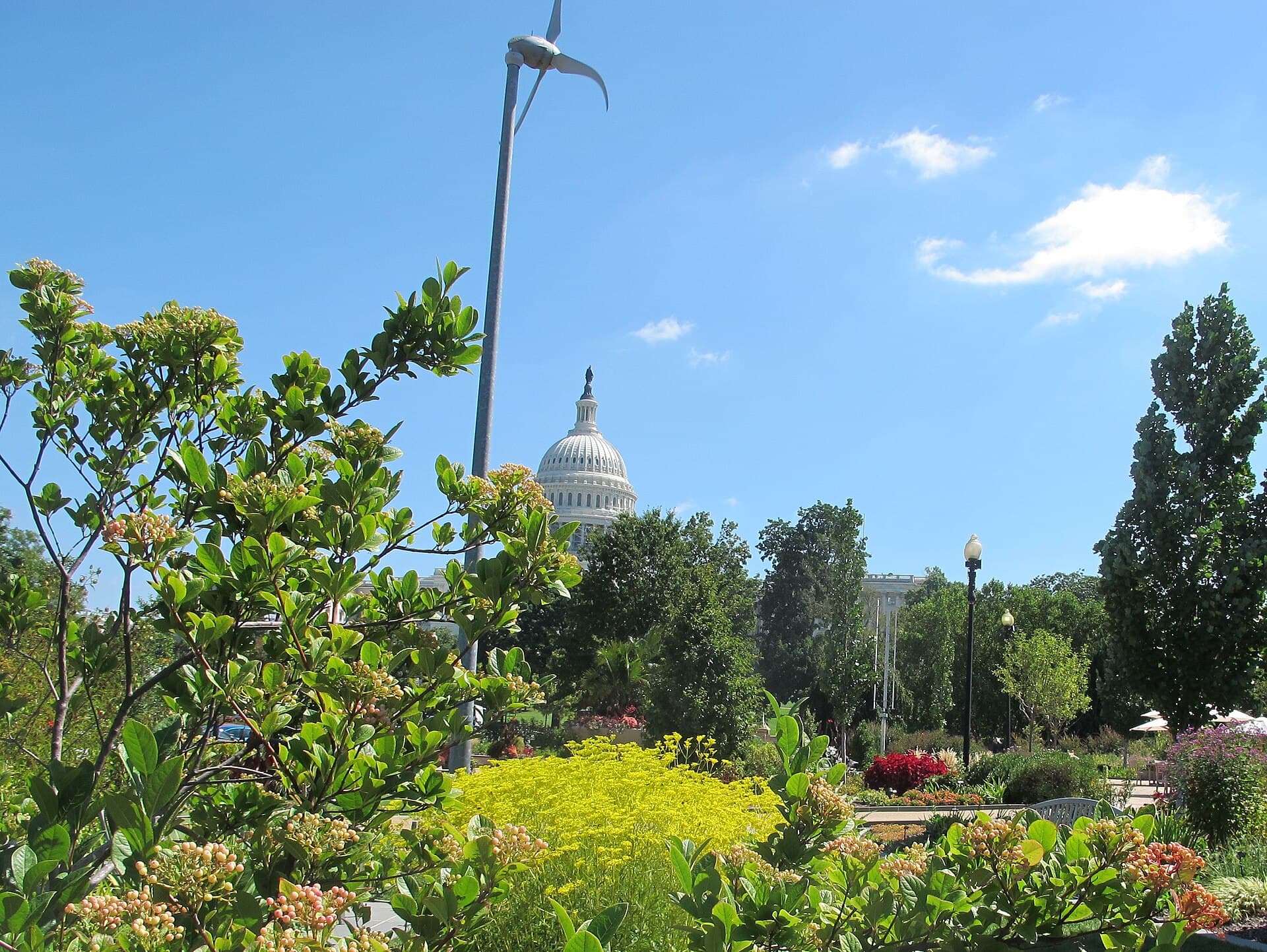 United States Botanic Garden