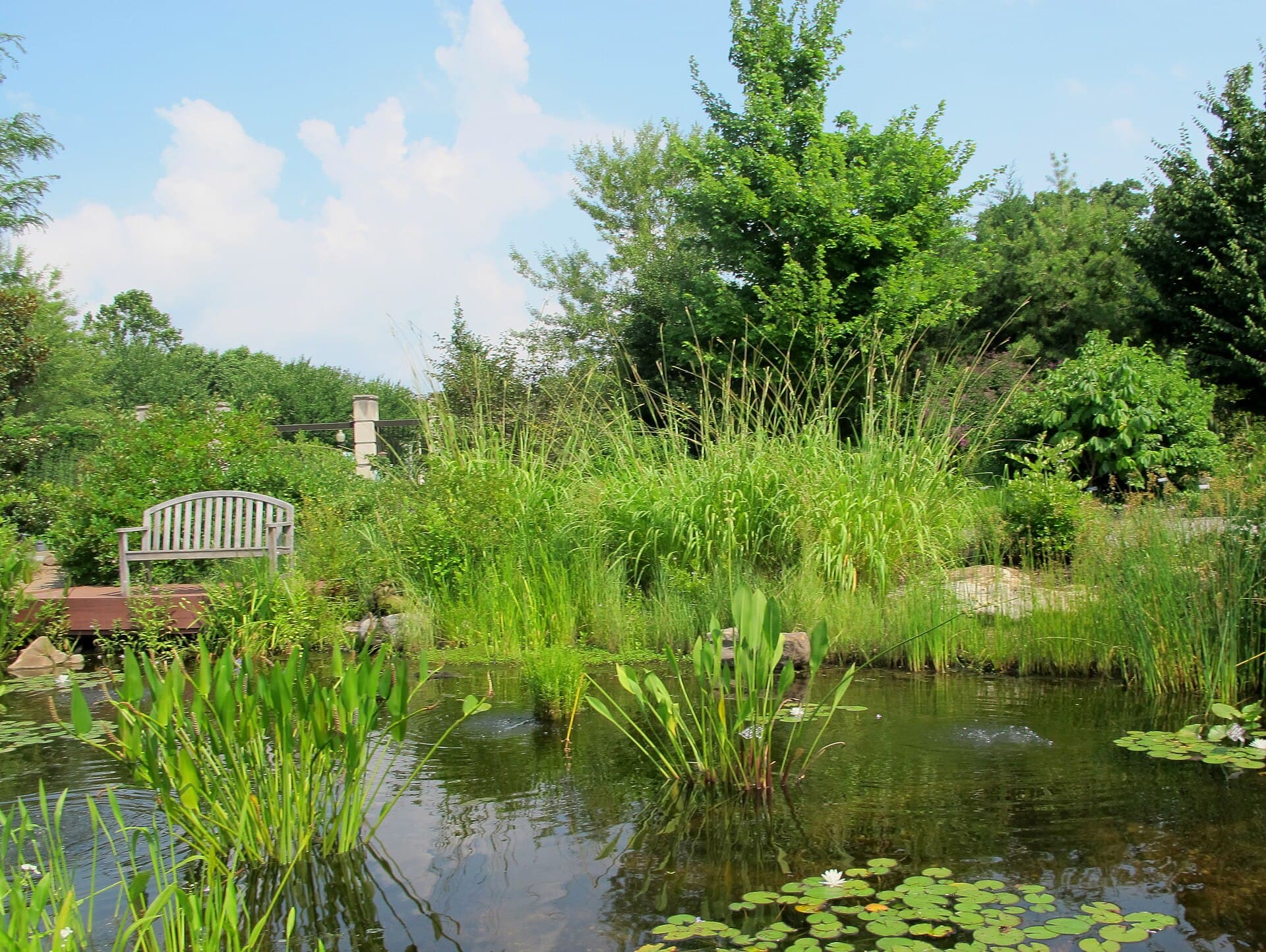 United States Botanic Garden