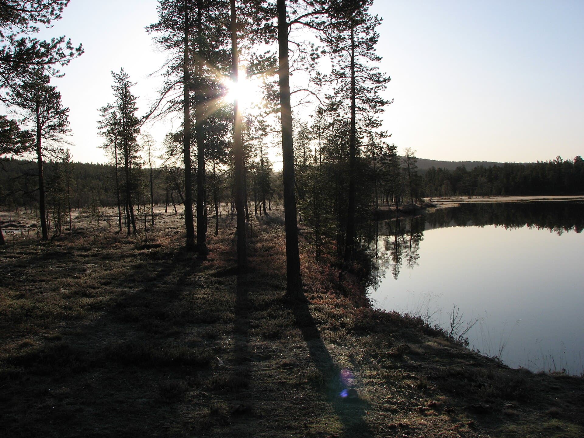 Urho Kekkonen National Park, Inari