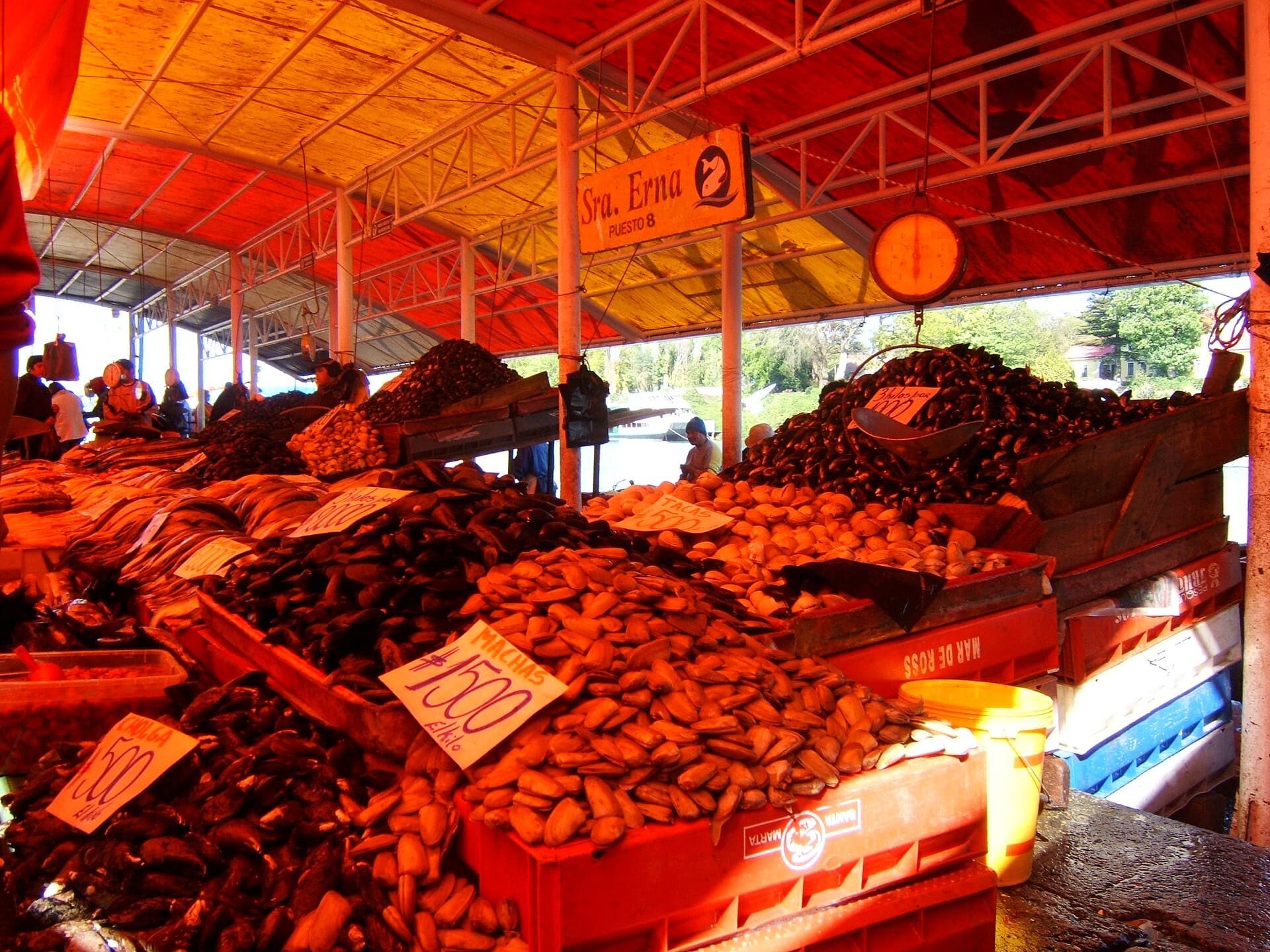 Valdivia river market