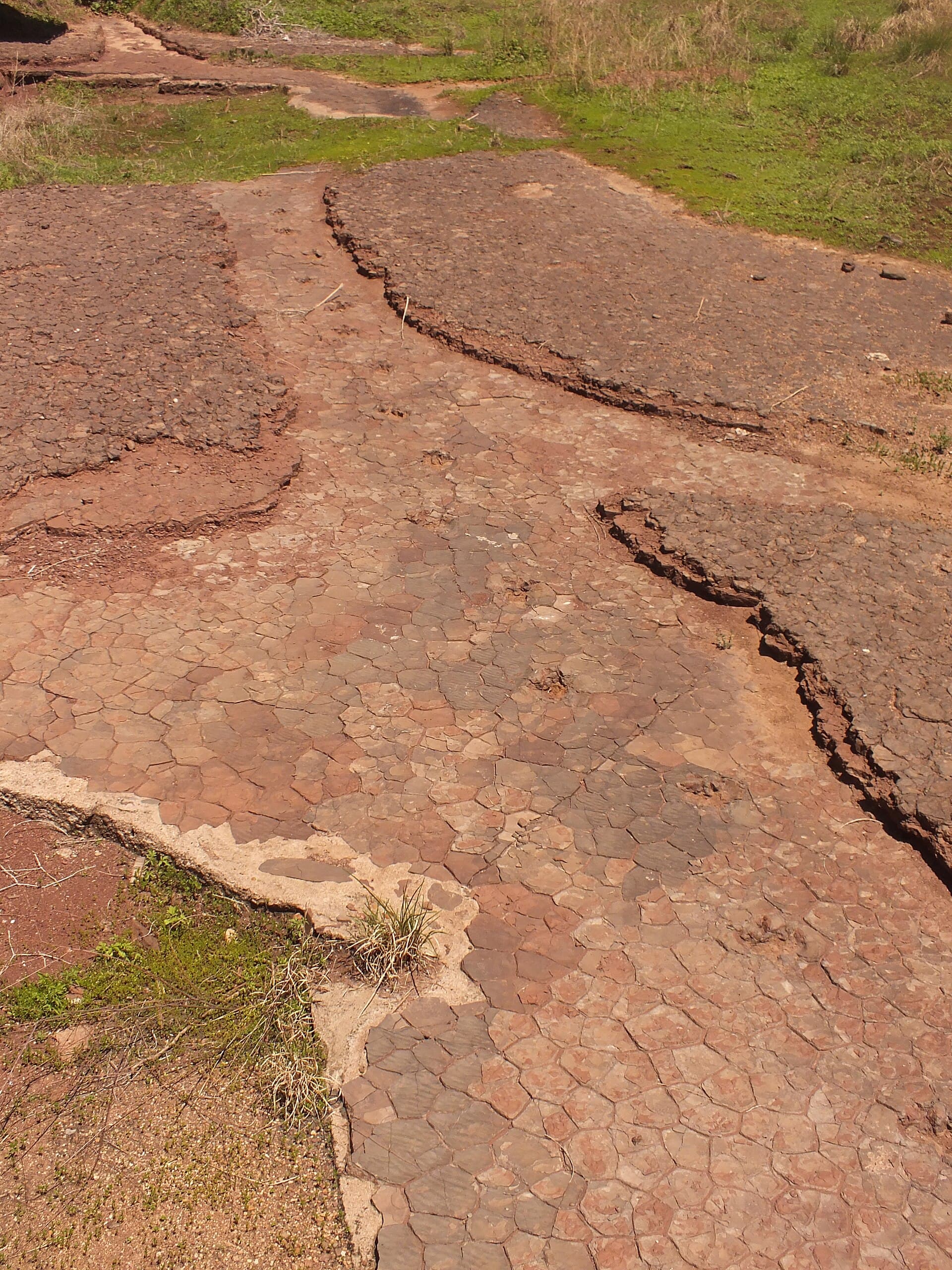 Dinosaur Valley (Vale dos Dinossauros), Sousa