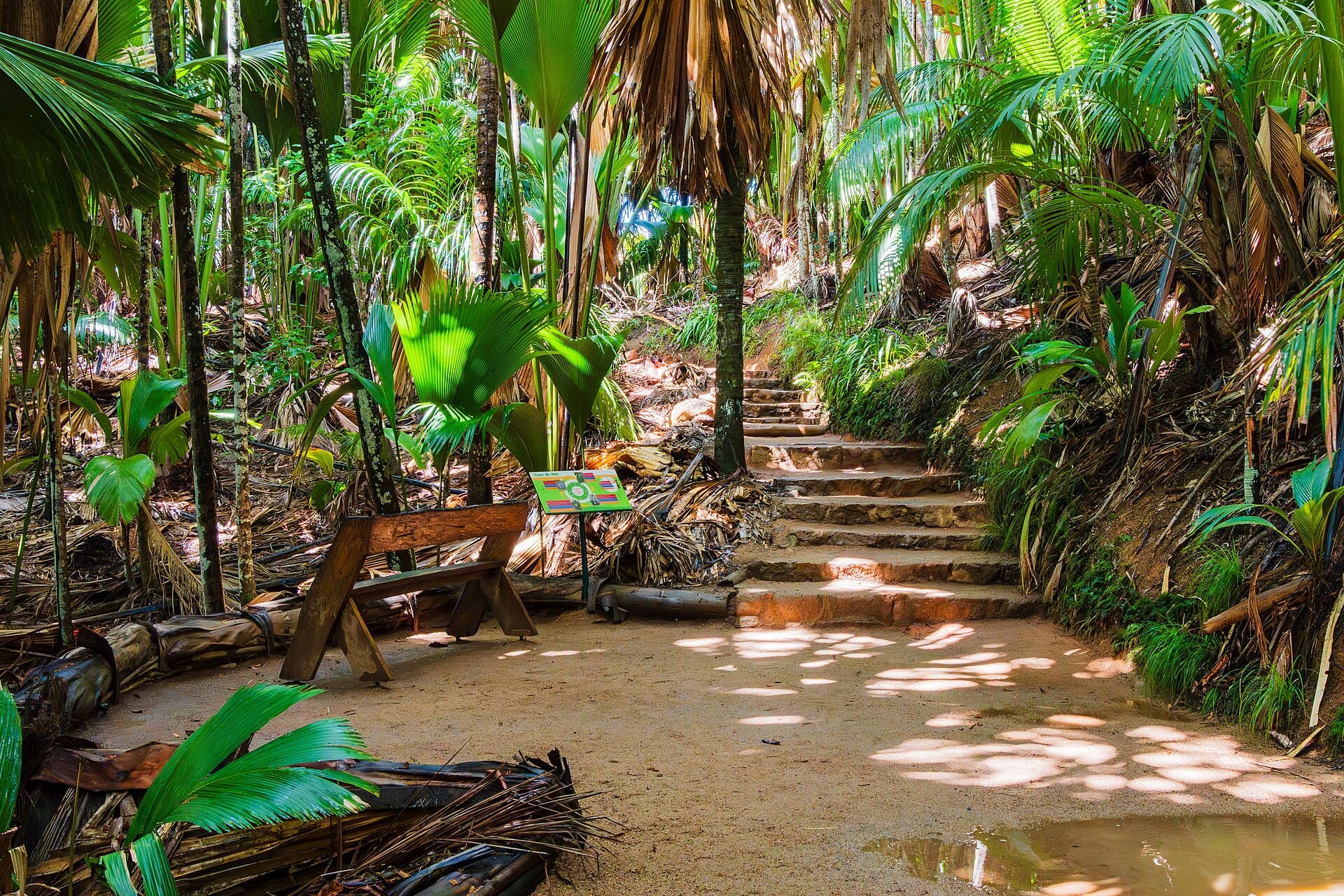 Vallée de Mai