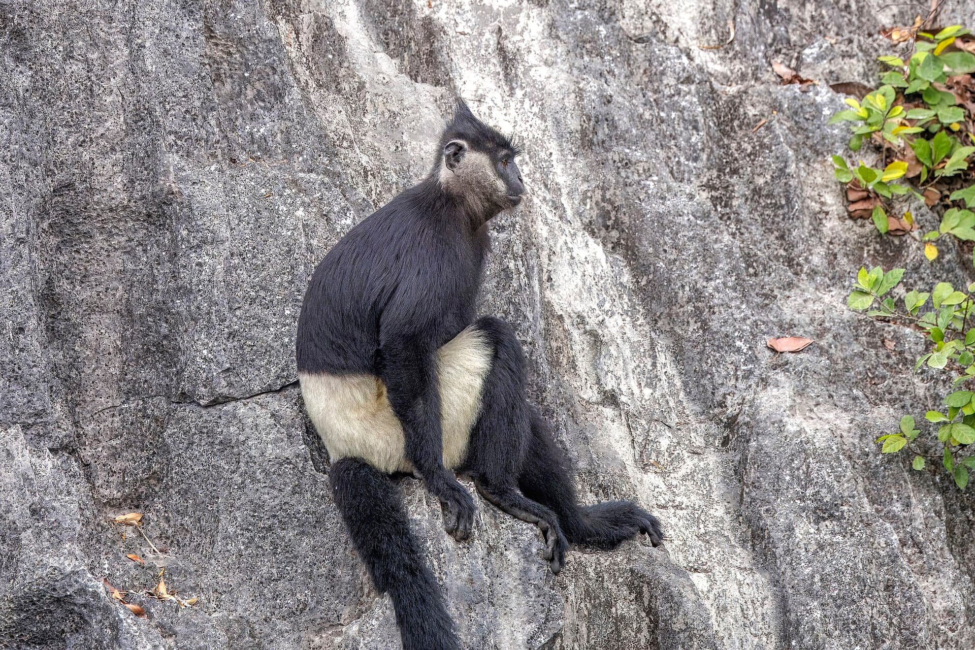 Van Long Nature Reserve, Ninh Binh