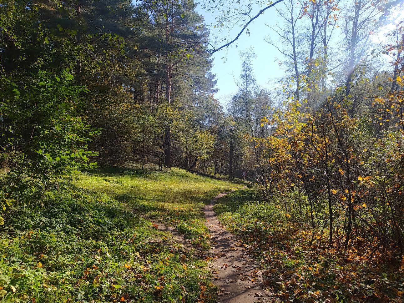 Verkiai Regional Park, Vilnius