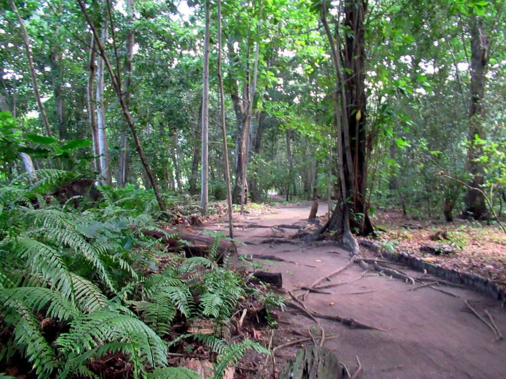 Veuve Nature Reserve
