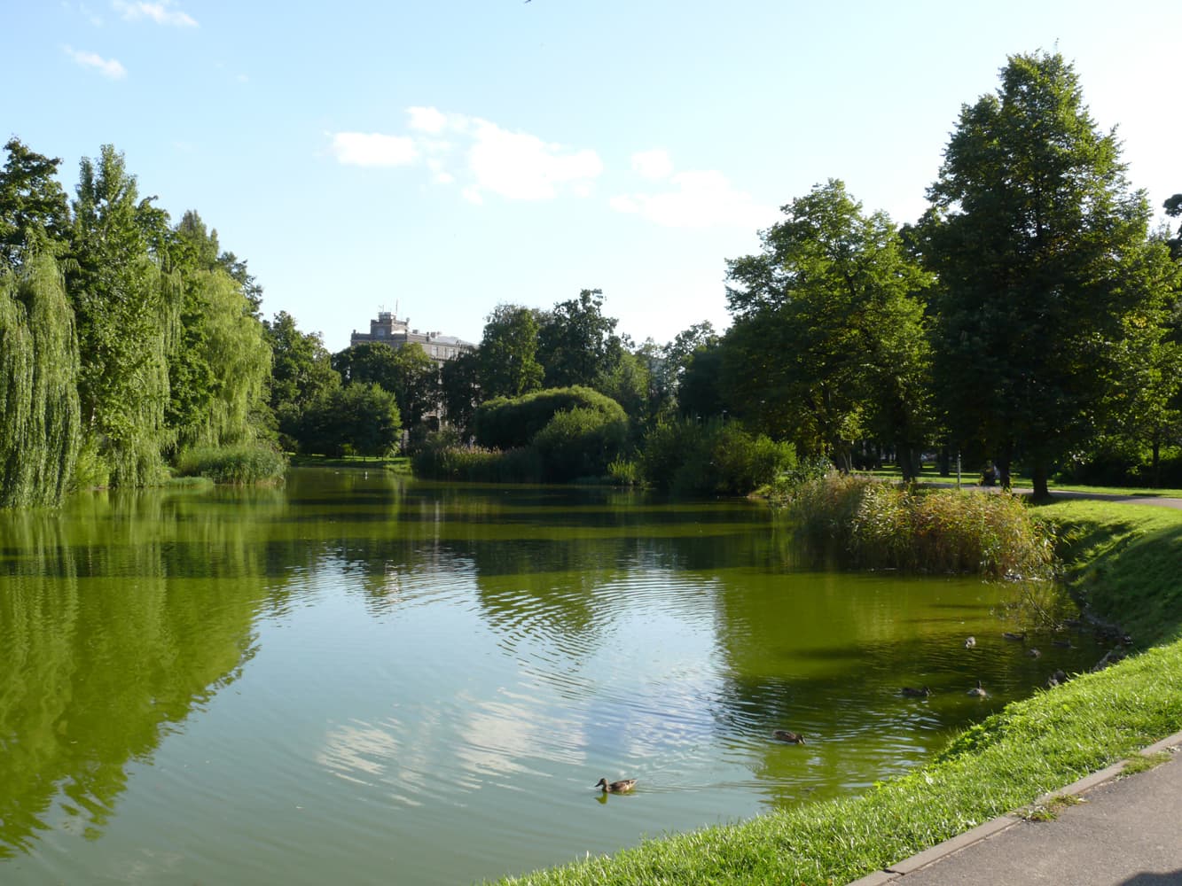 Viesturs Garden, Riga