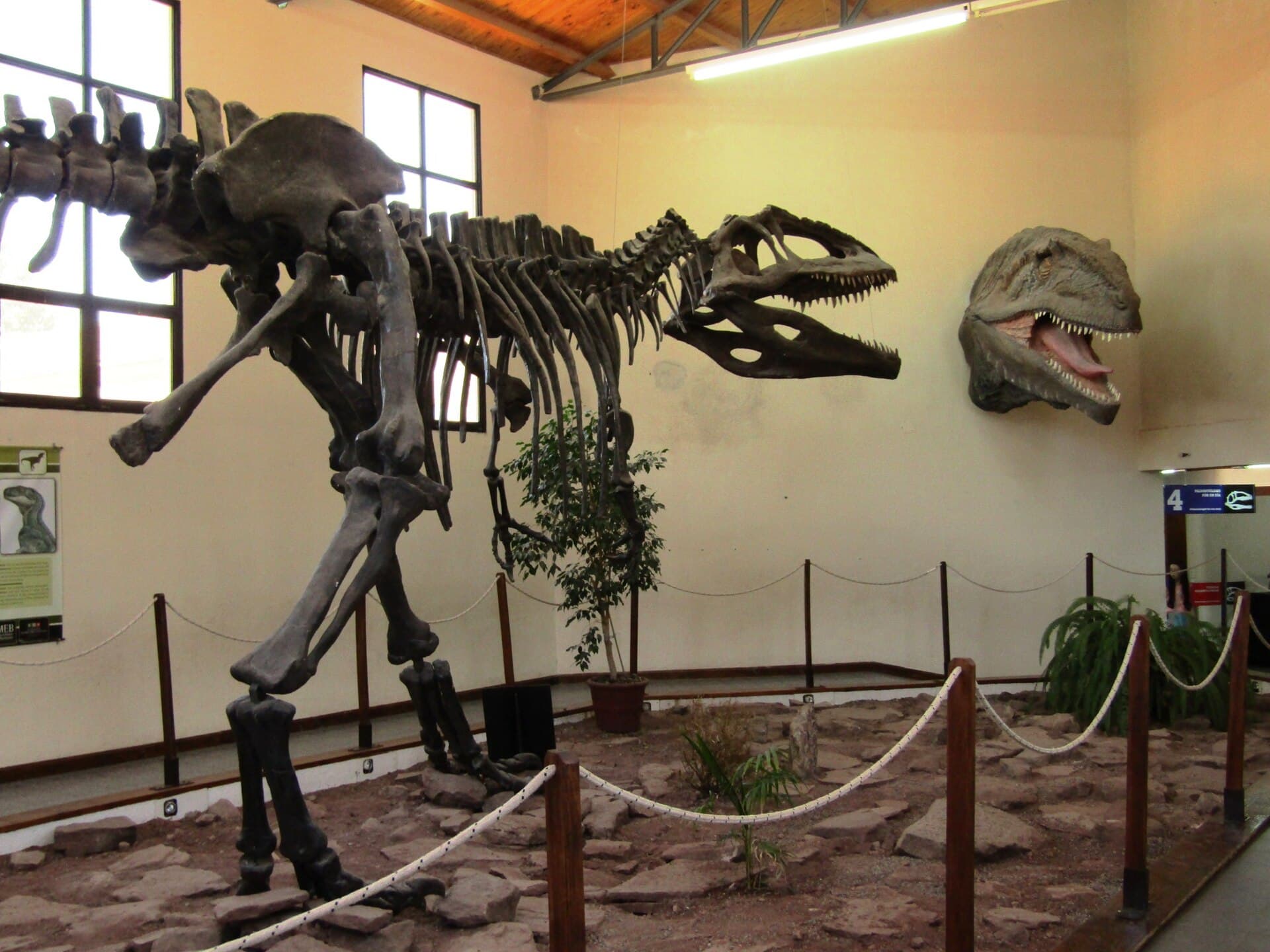 Ernesto Bachmann Dinosaur Museum, Villa El Chocón, Neuquén
