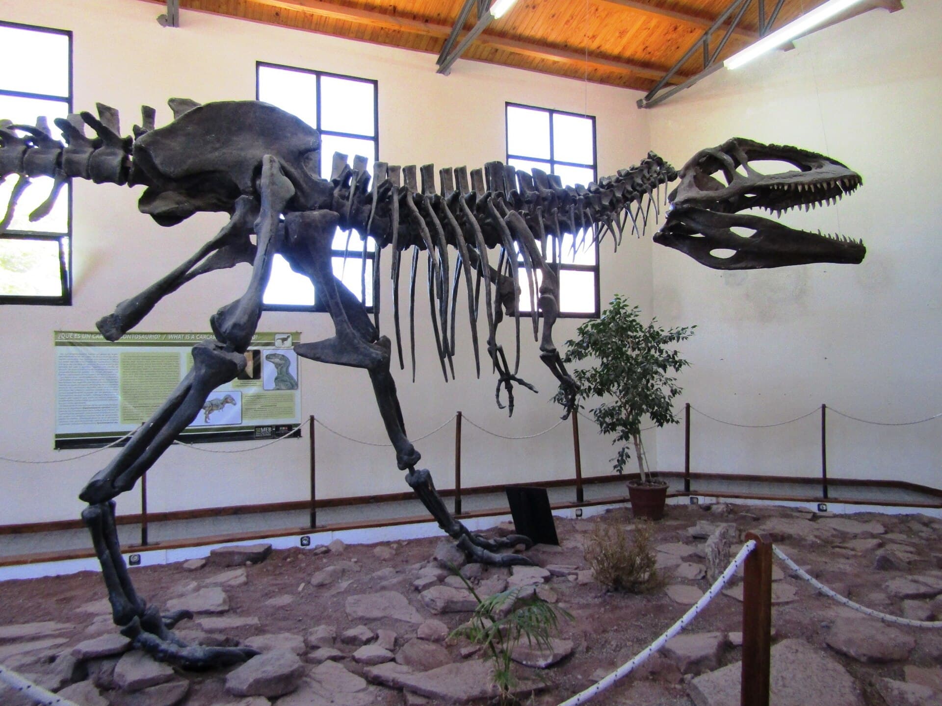Ernesto Bachmann Dinosaur Museum, Villa El Chocón, Neuquén