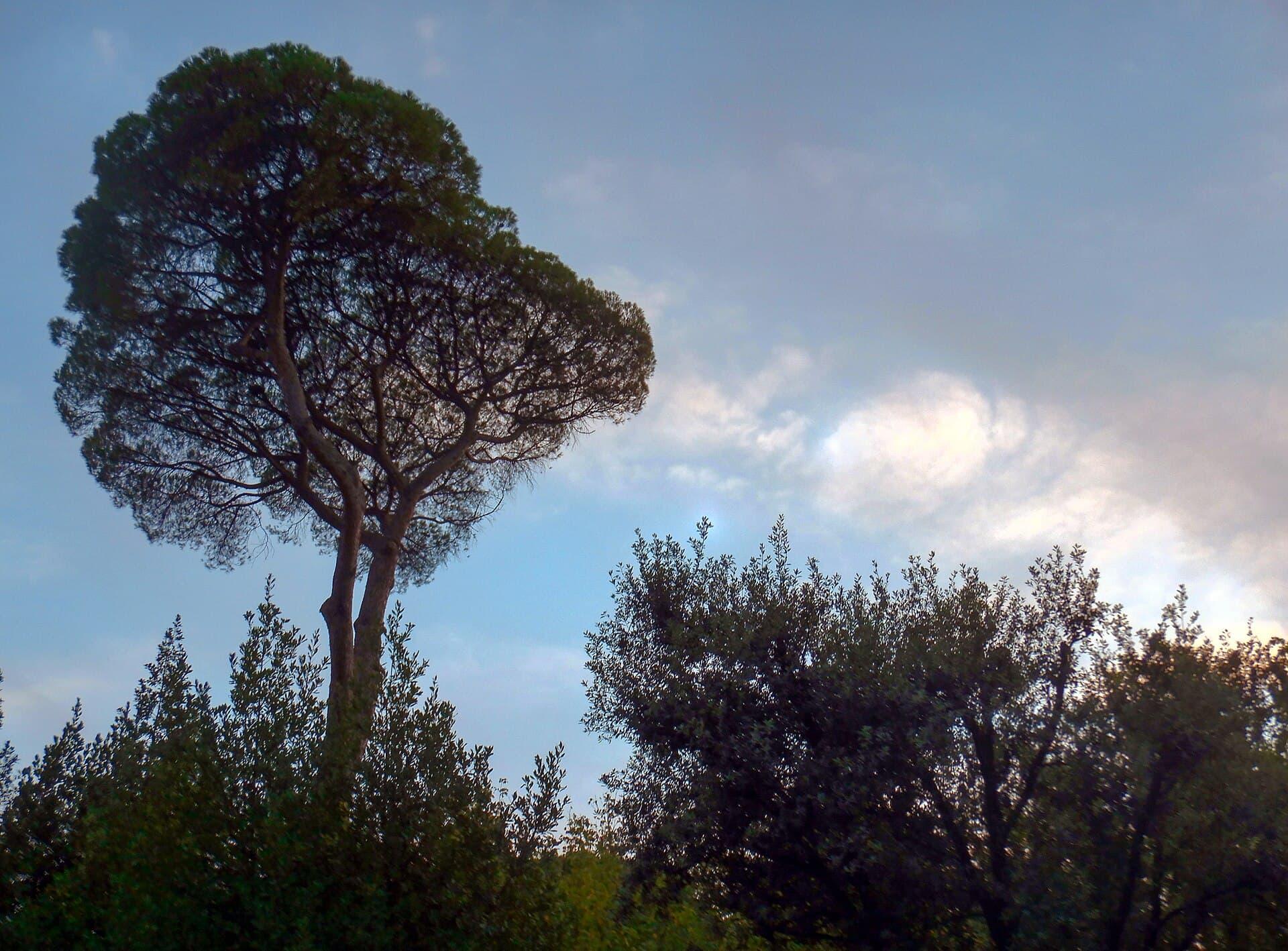 Villa Torlonia Museums, Rome, Italy