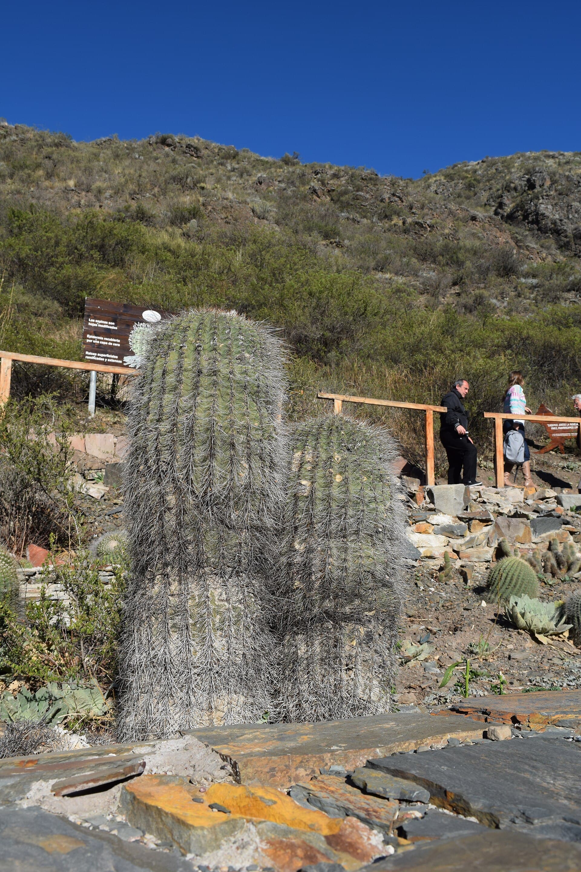 Villavicencio Nature Reserve, Mendoza