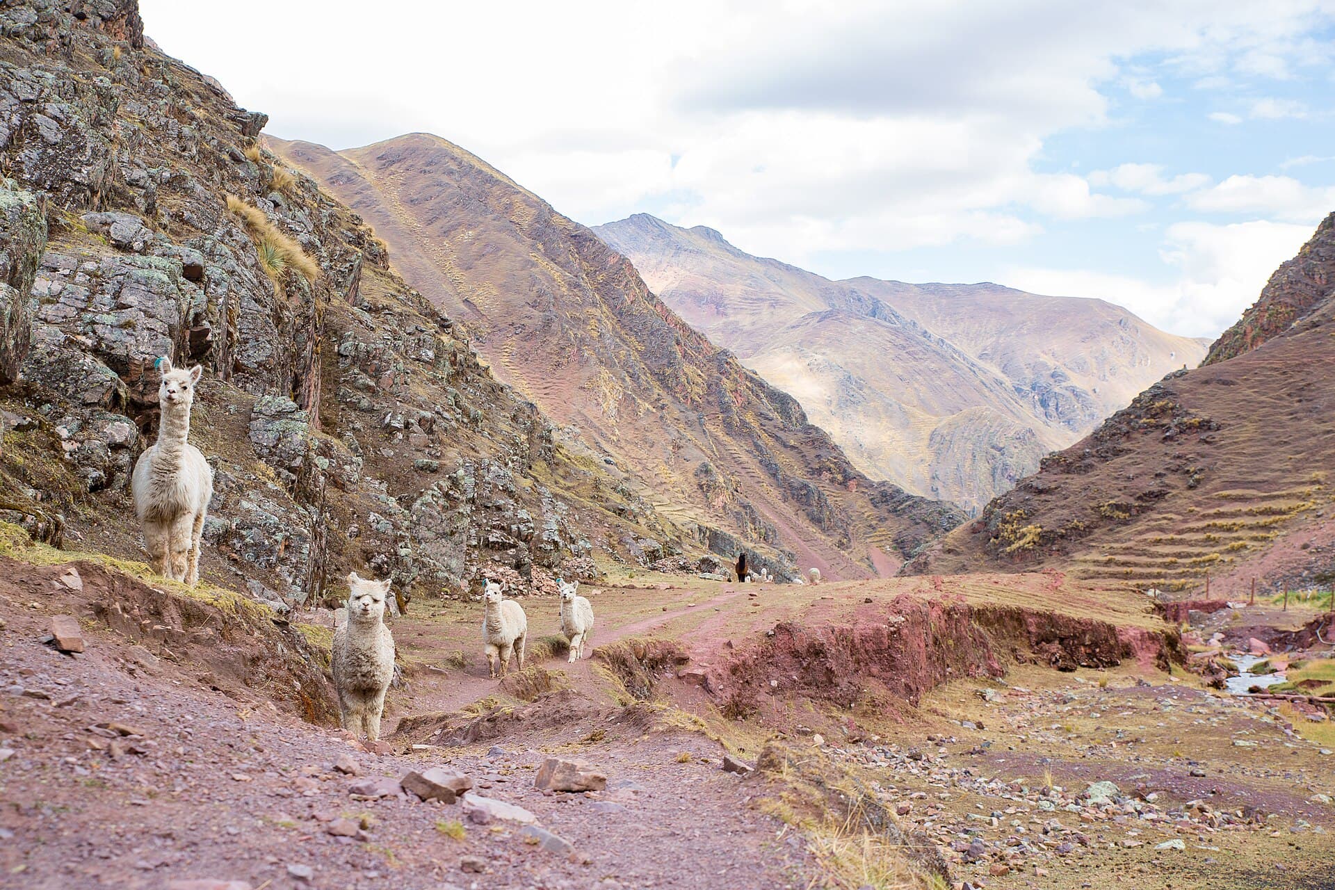 Rainbow Mountain (Vinicunca), Cusco