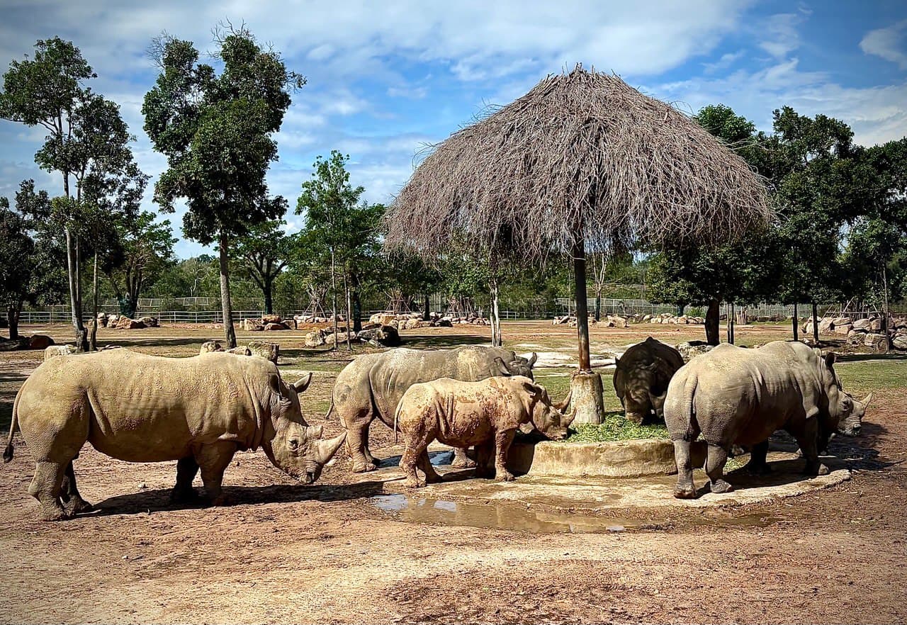 Vinpearl Safari Phu Quoc, Phu Quoc