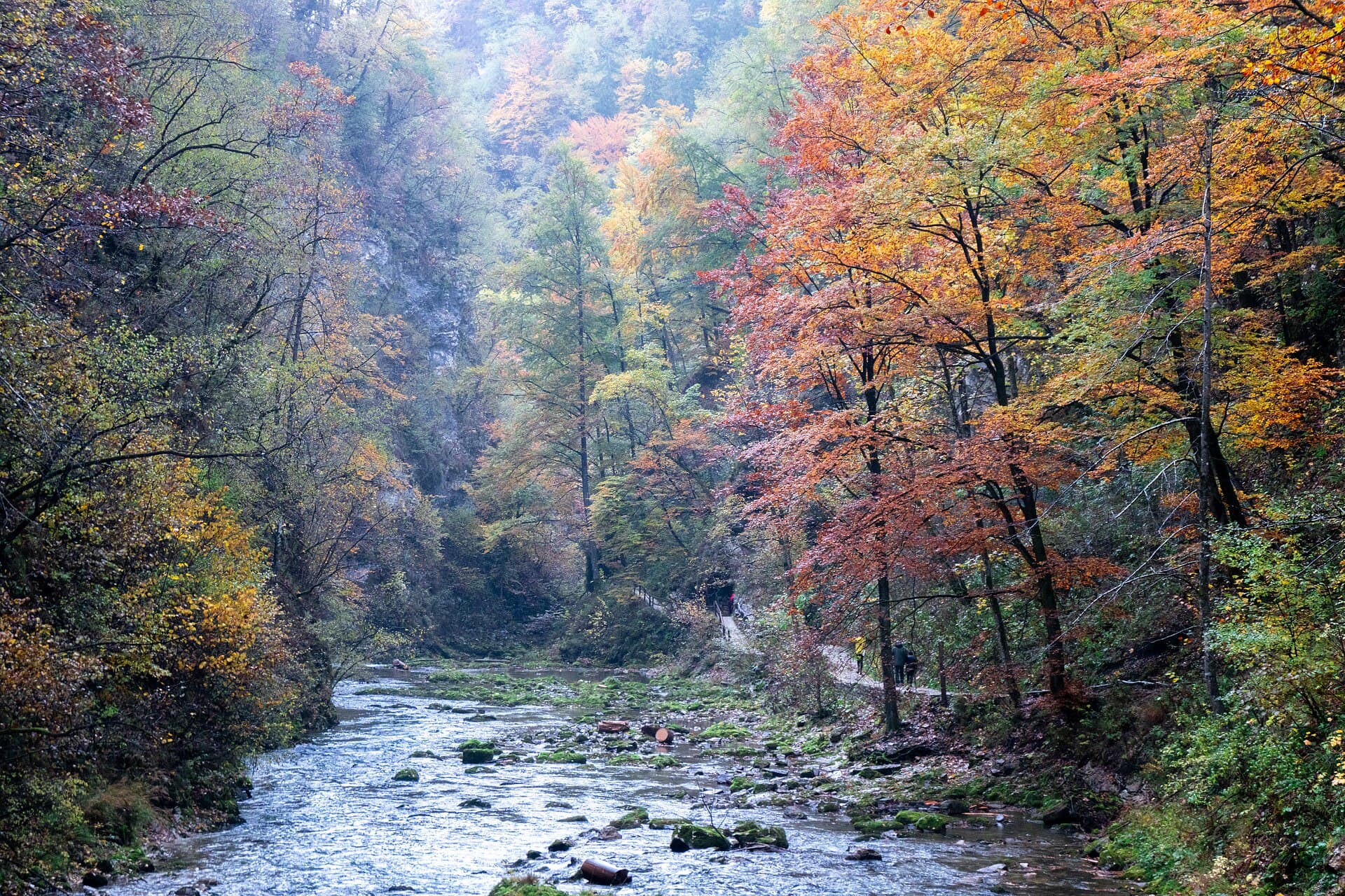 Vintgar Gorge, Bled