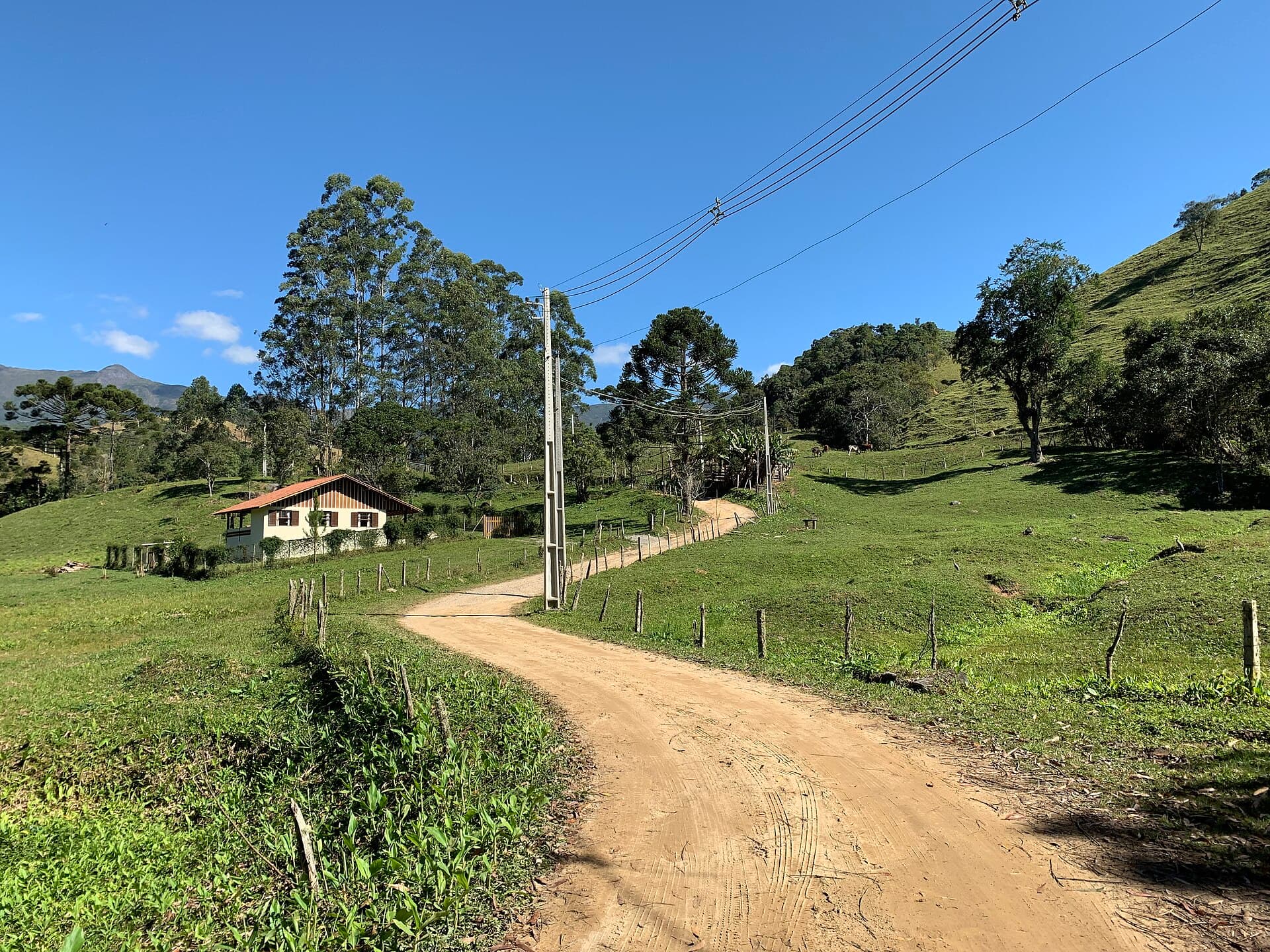 فيسكوندي دي ماوا، ريزندي