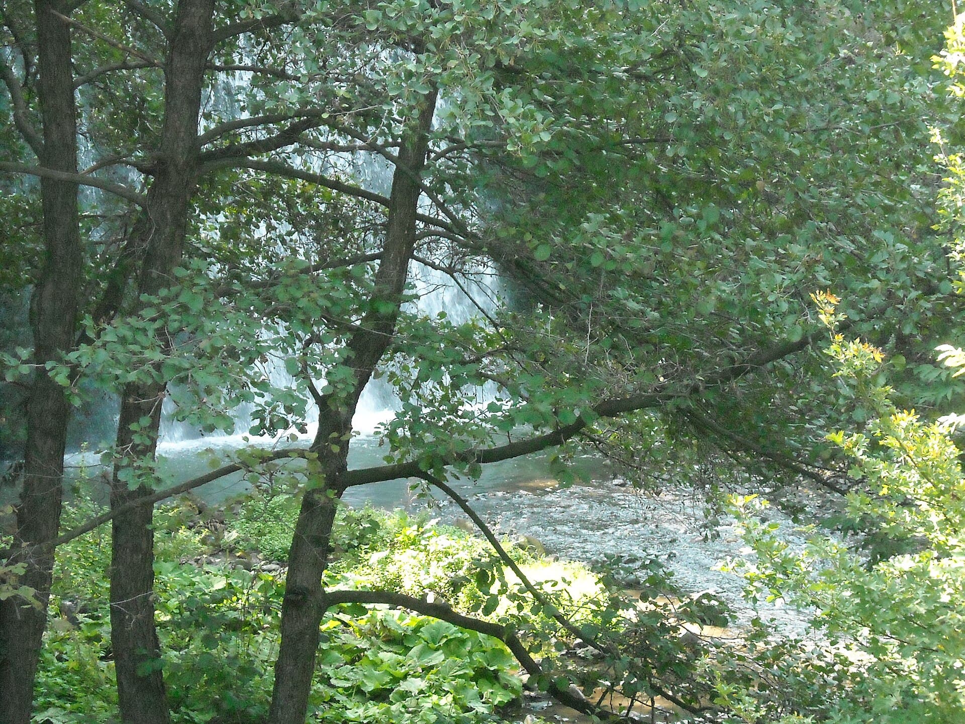 Vitosha Nature Park, Sofia