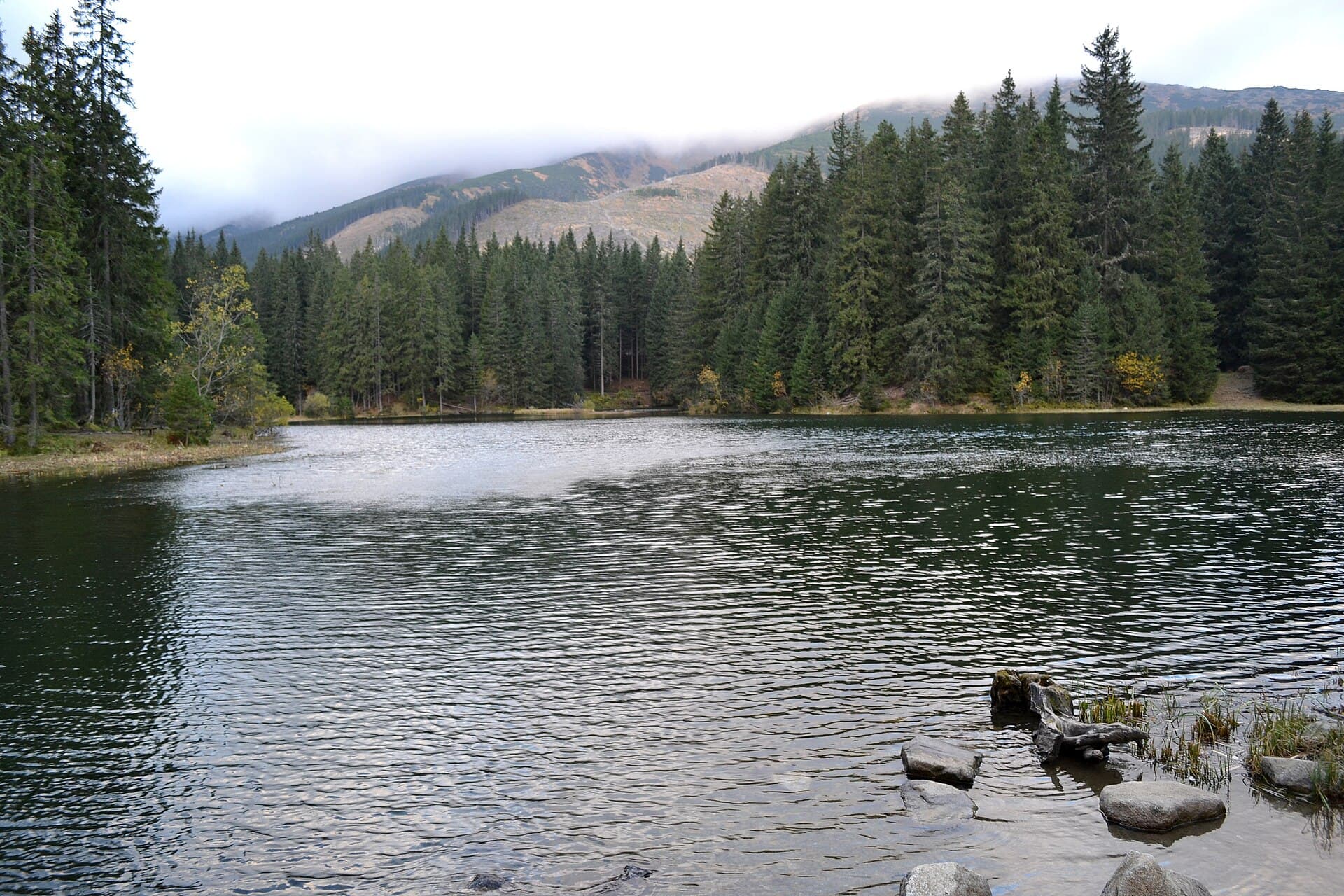 Vrbické pleso, Poprad