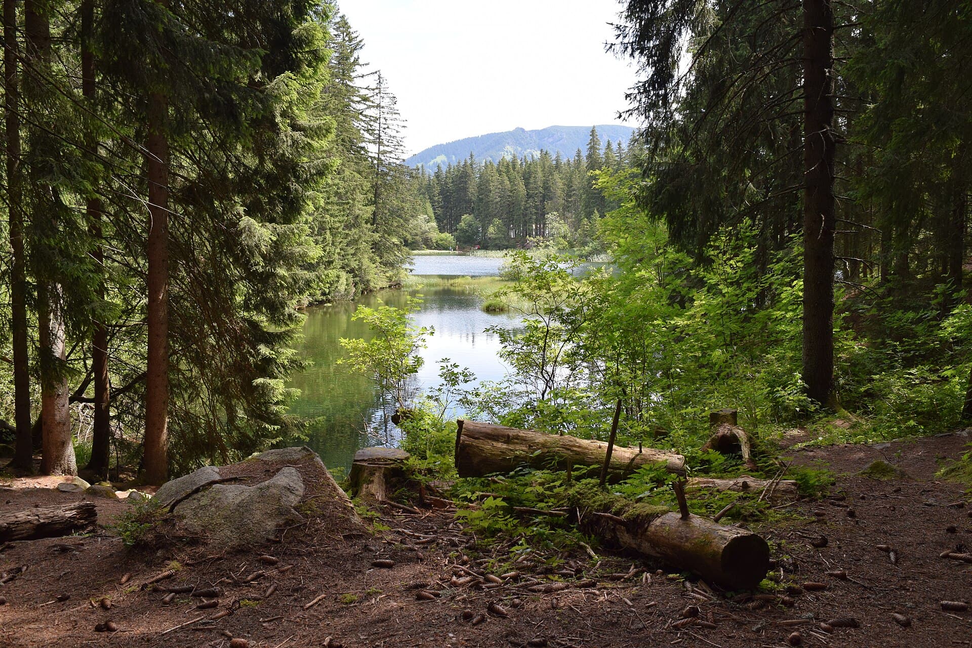 Vrbické pleso, Poprad