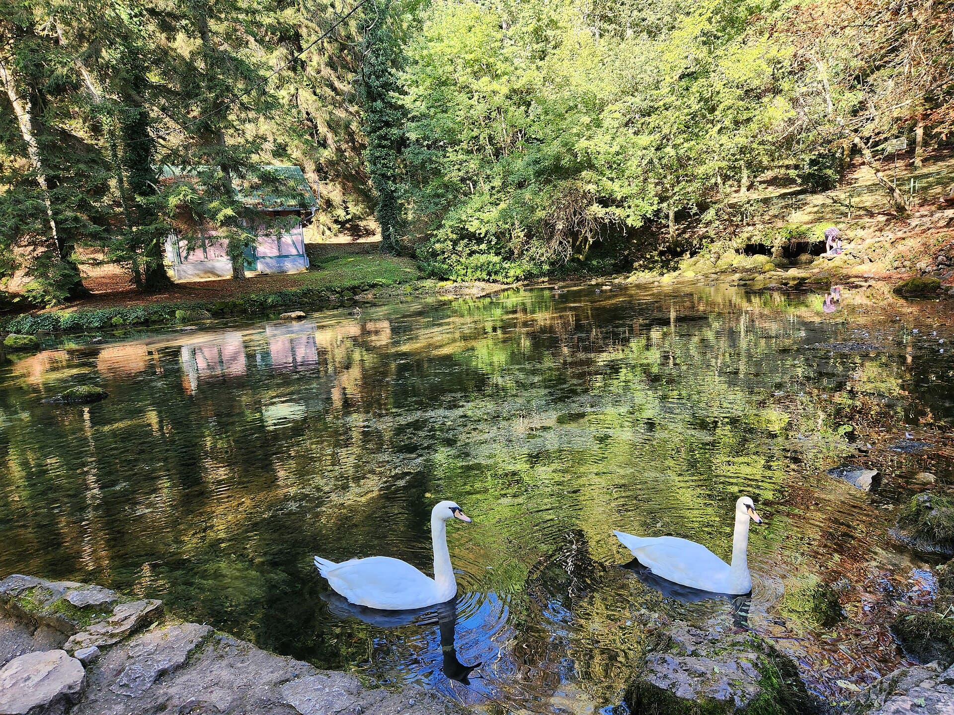 Vrelo Bosne (Spring of the Bosna)