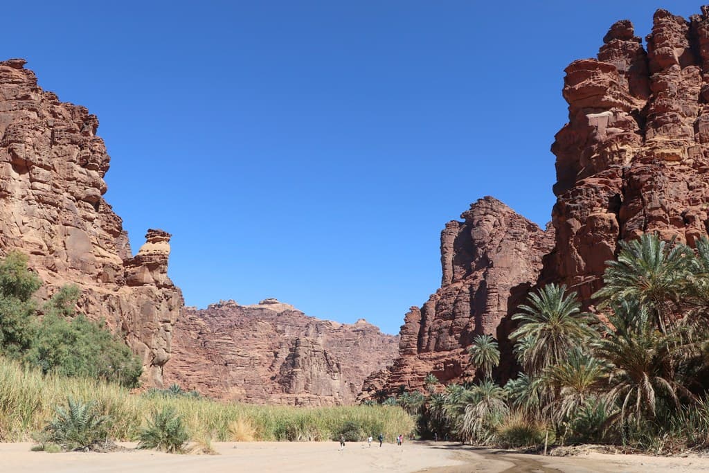 تبوك
