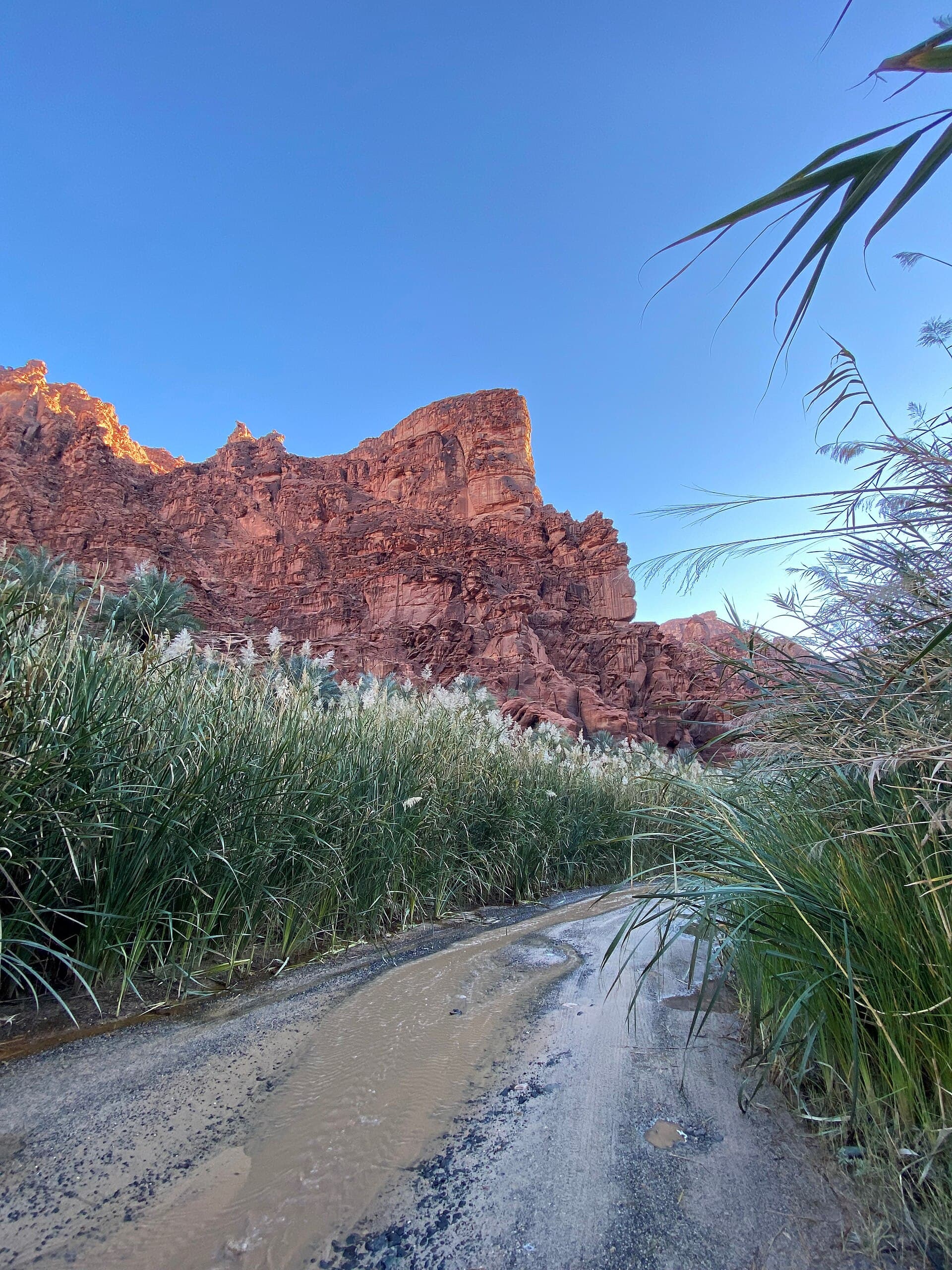 Wadi Al Disah