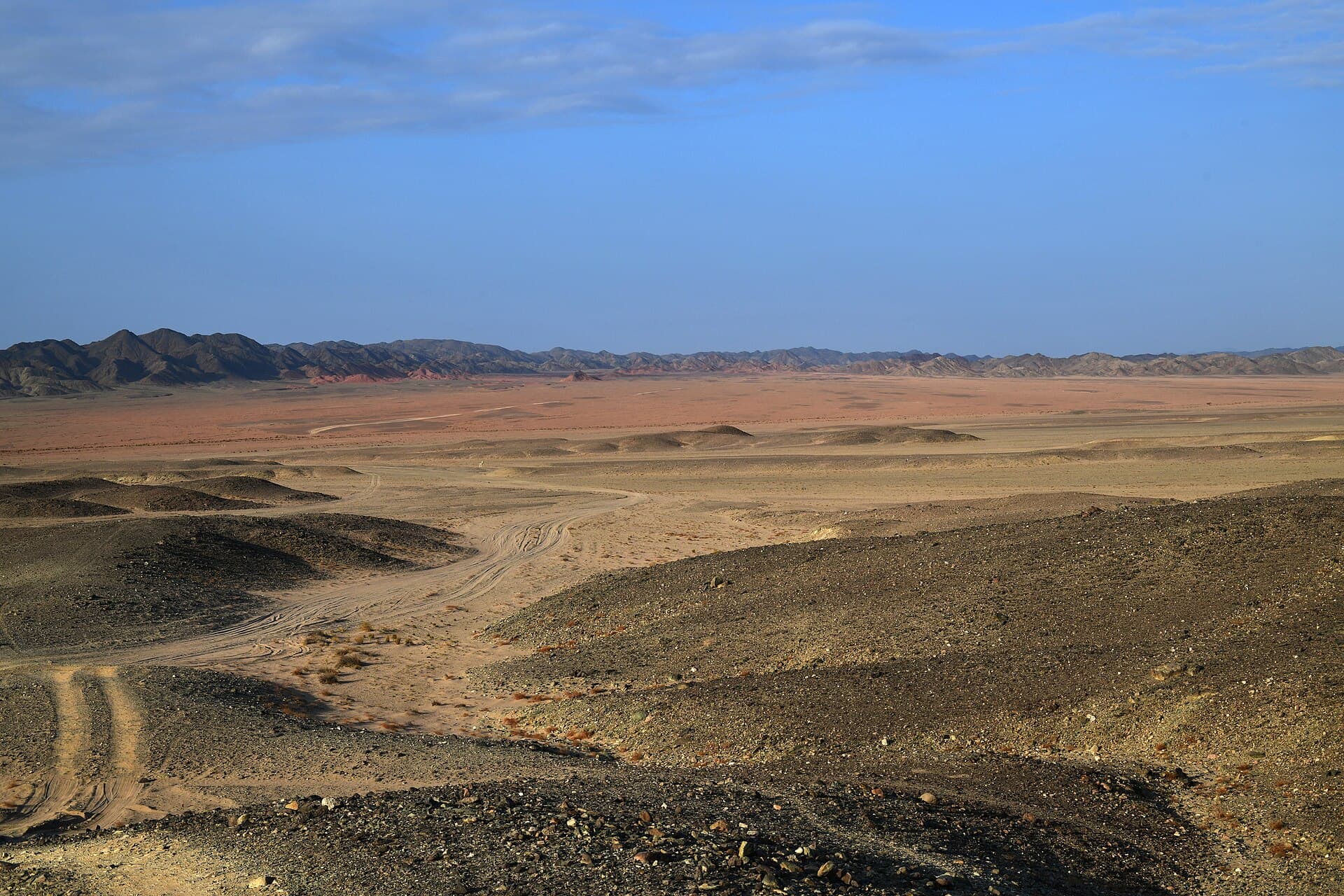 Wadi El Gemal National Park