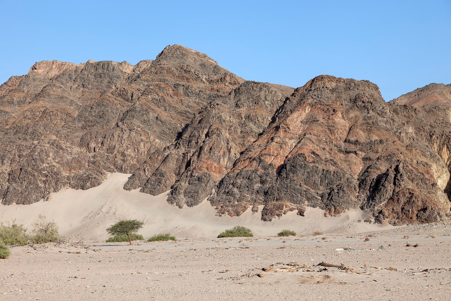 Wadi El Gemal National Park