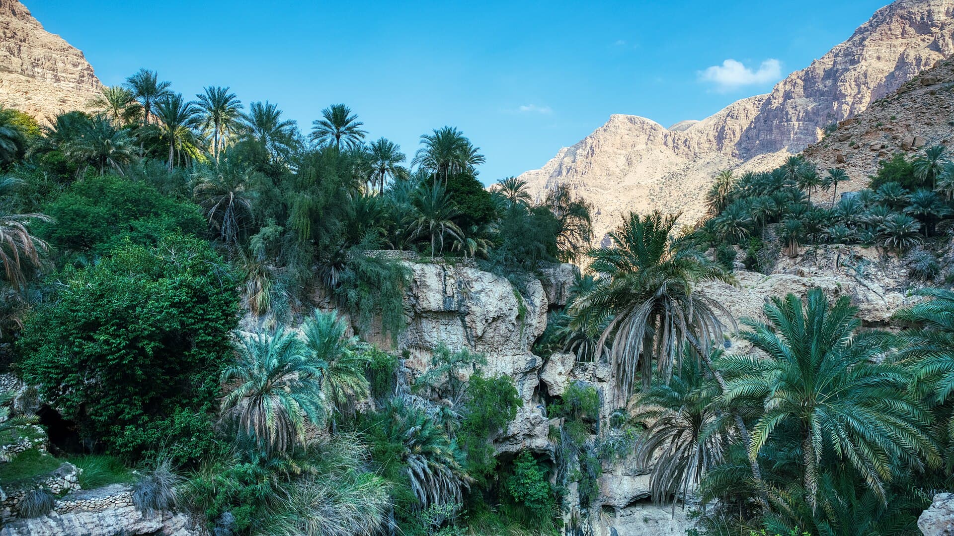 وادي طيوي، صور