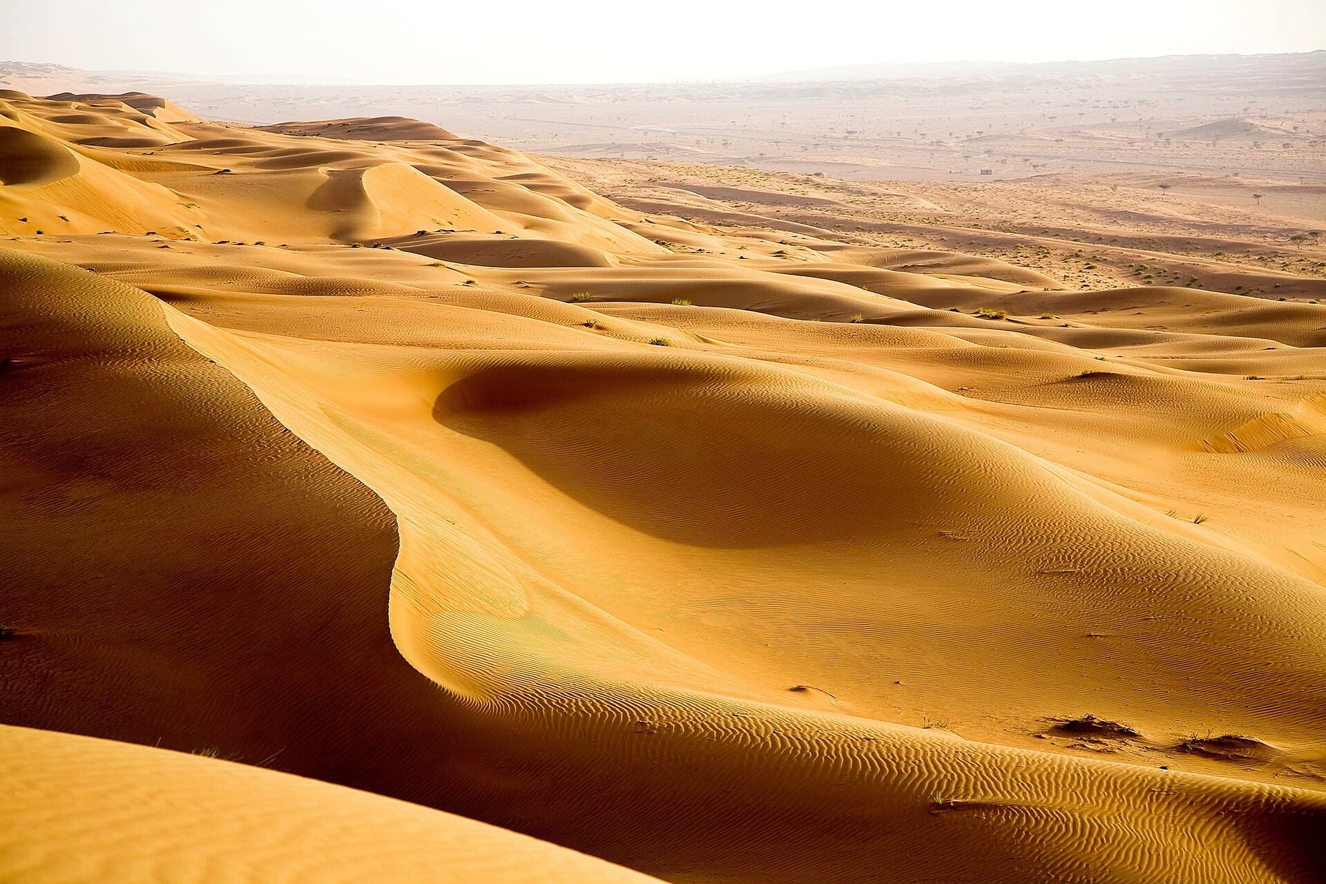 رمال الشرقية (رمال وهيبة)
