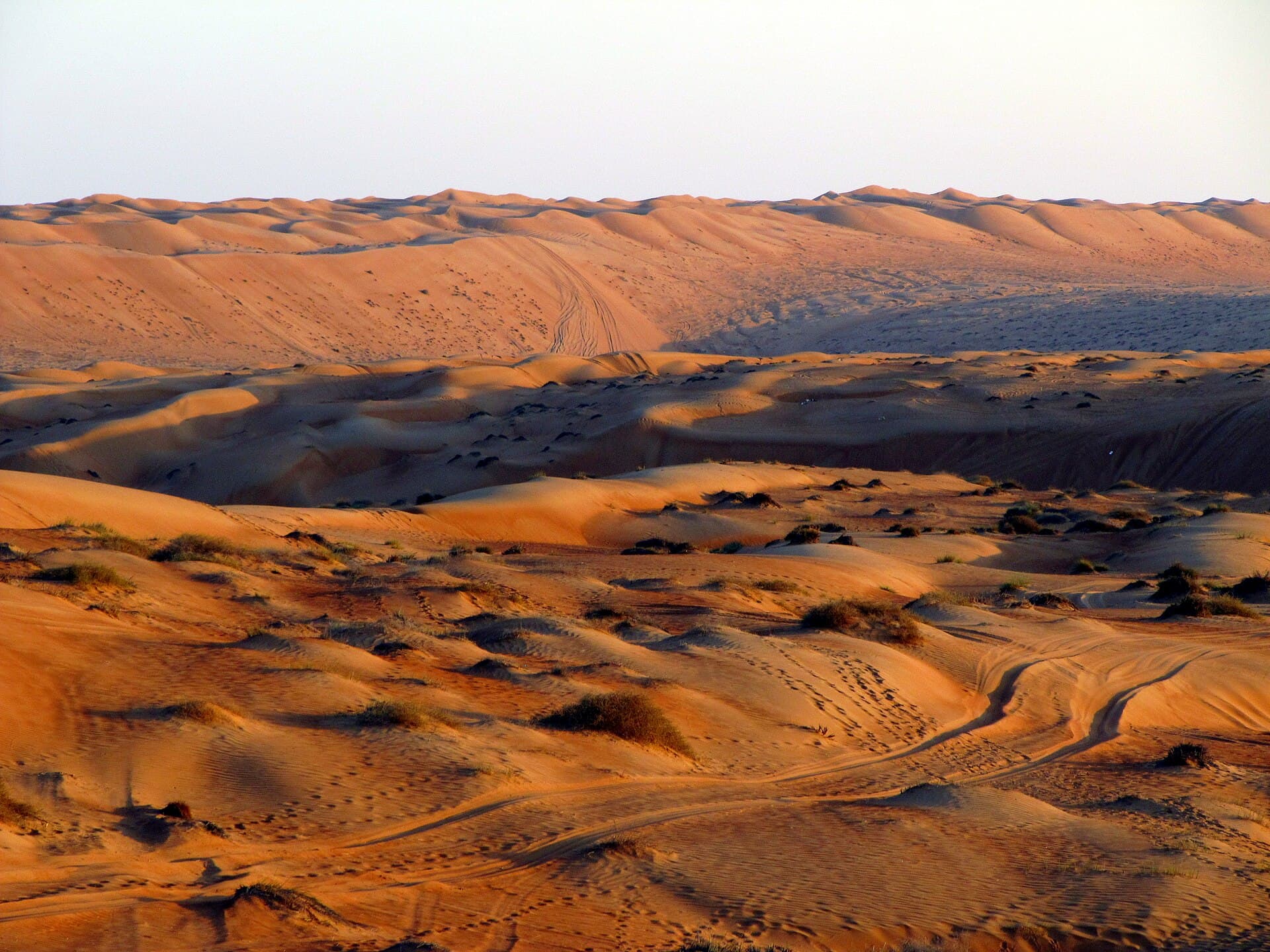 رمال الشرقية (رمال وهيبة)