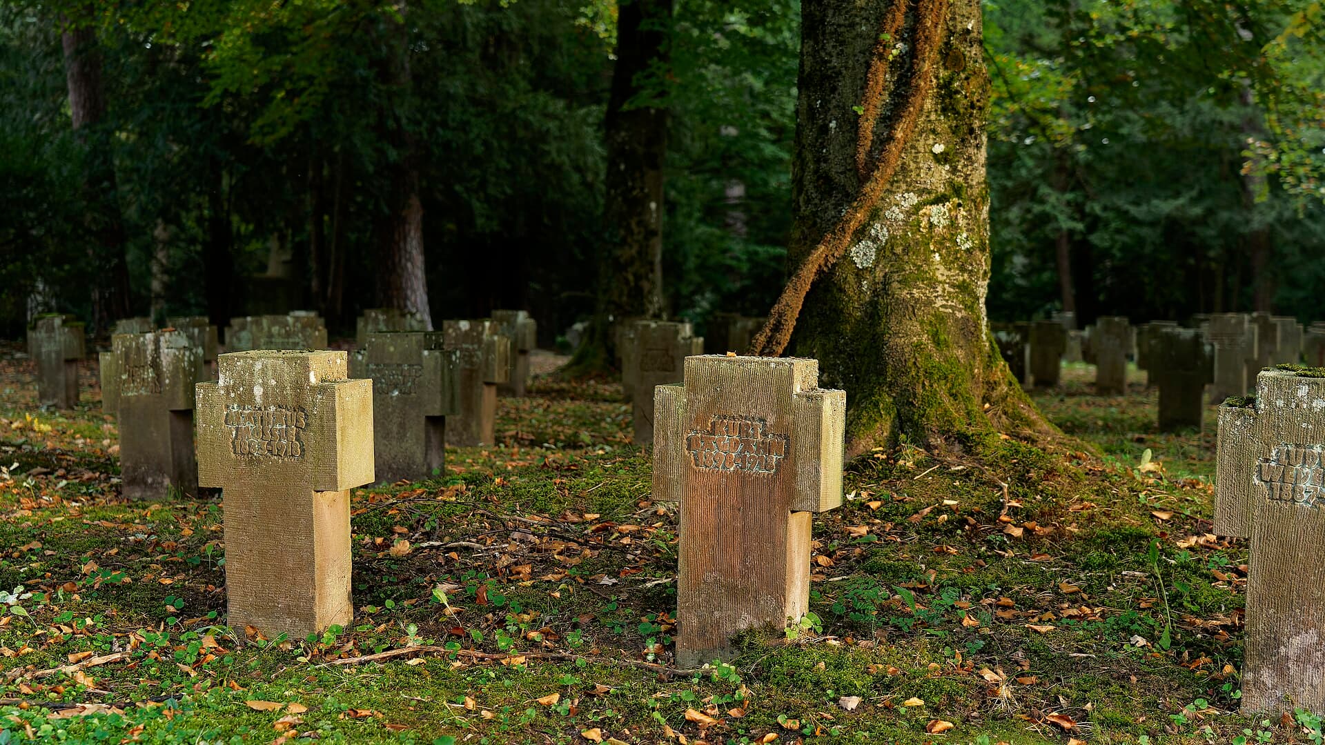 The Forest Cemetery, Stuttgart