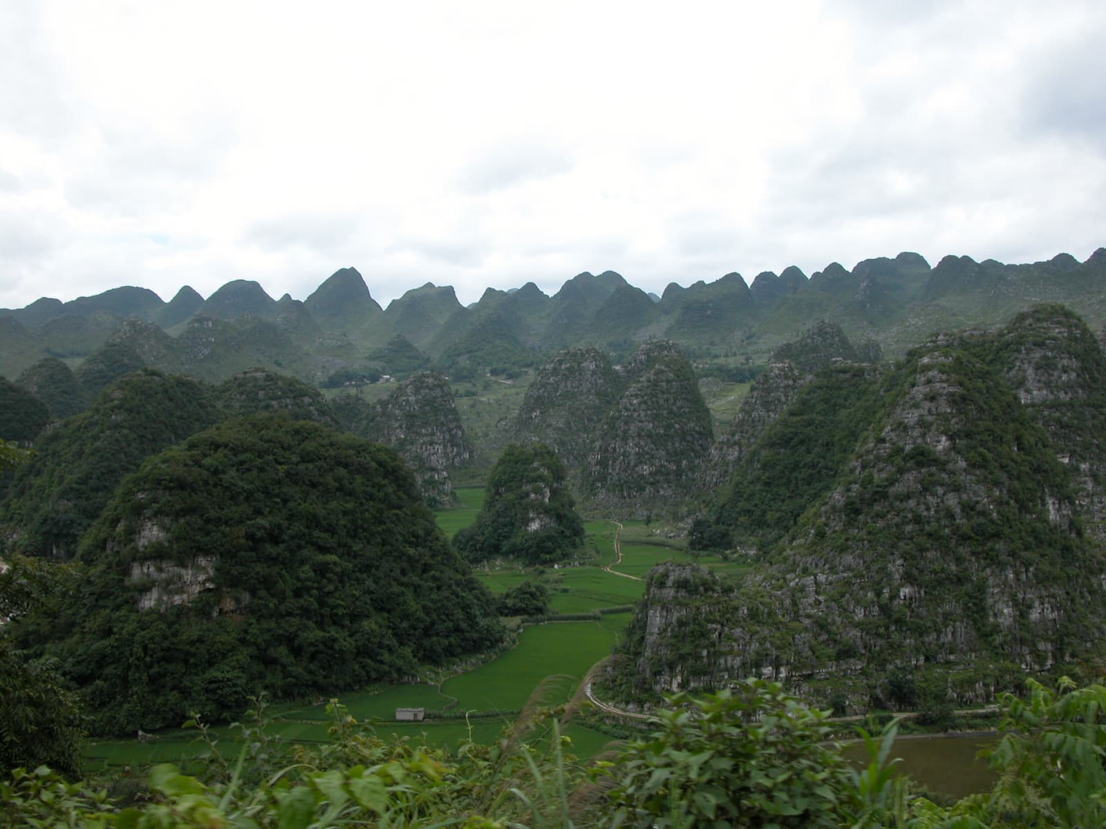 Wanfenglin, Forest of Ten Thousand Peaks